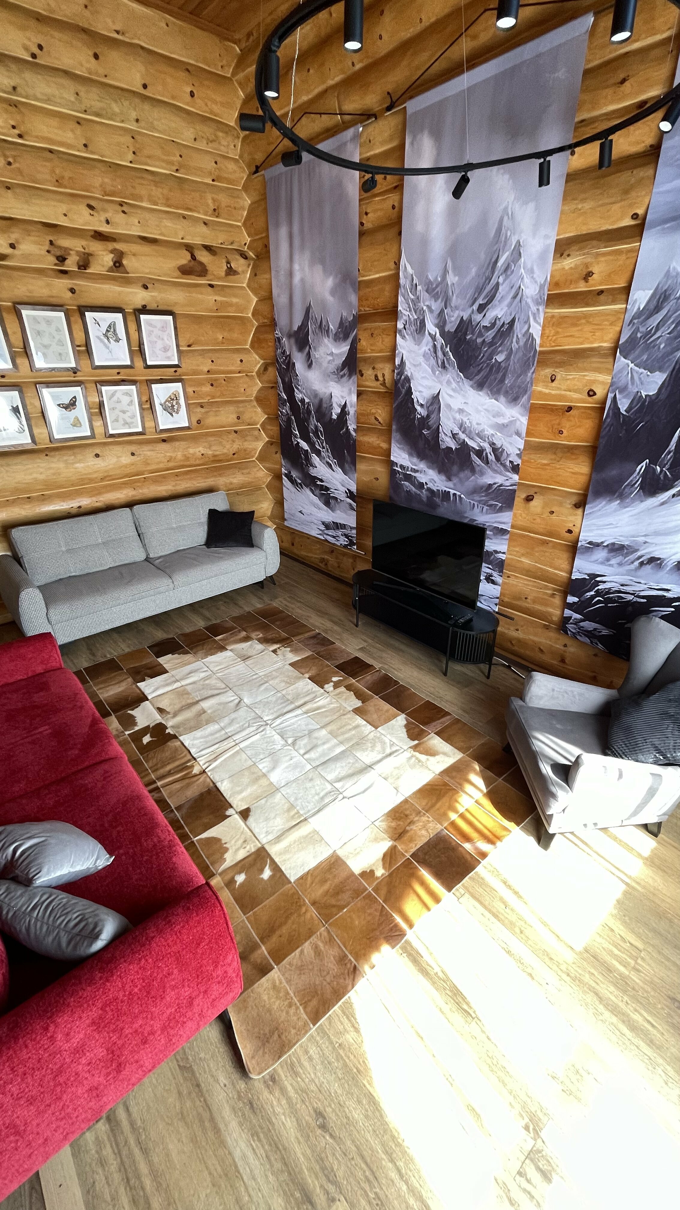 Фото Рыжий кот