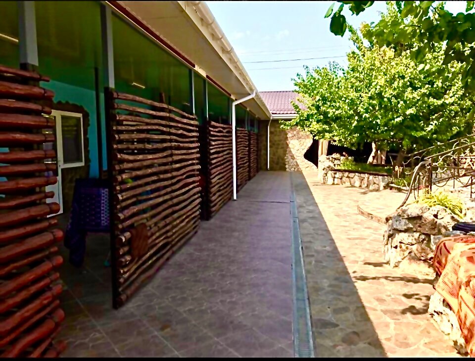 Фото Морская Звезда