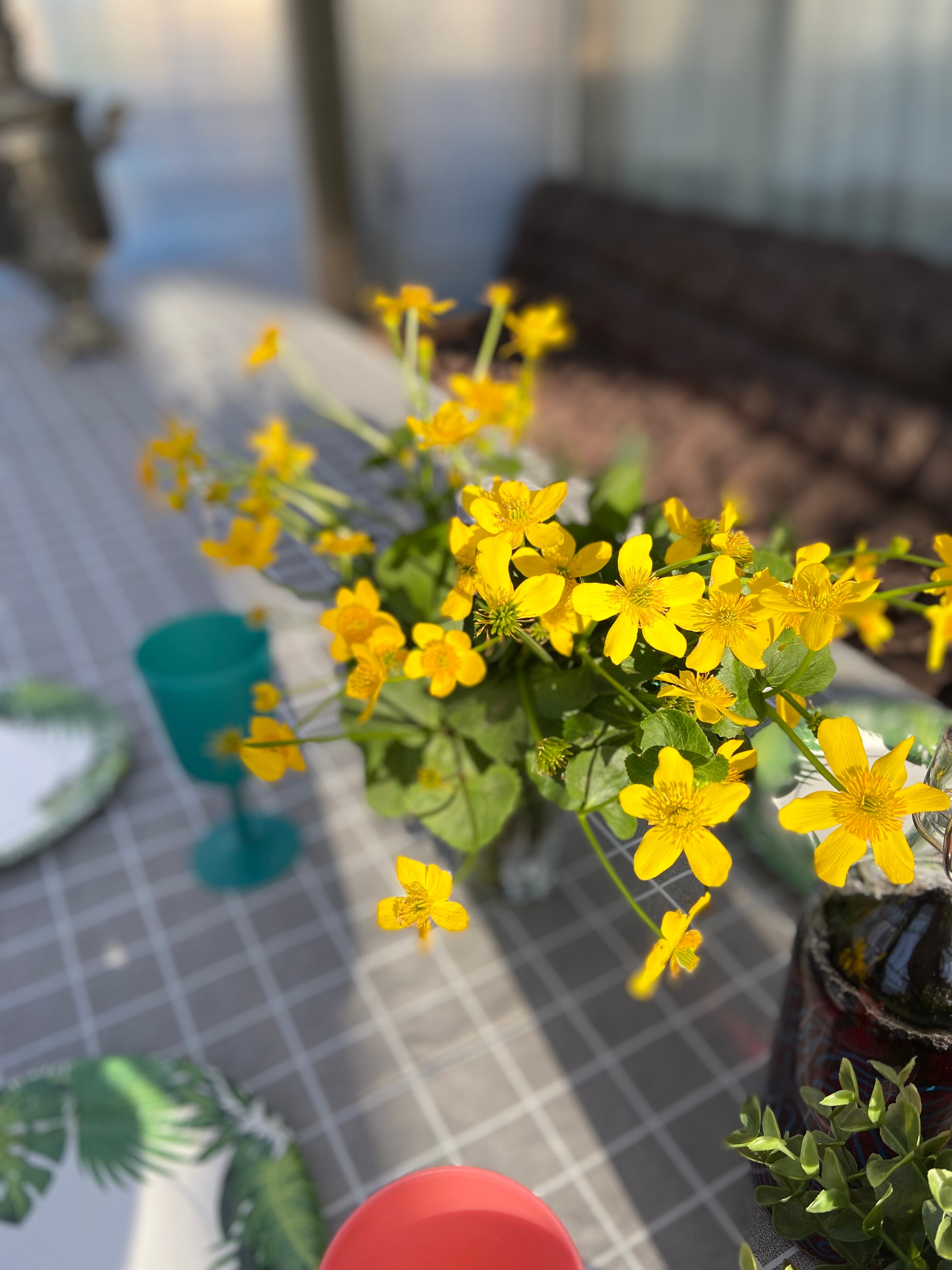 Фото Casa Fiesta