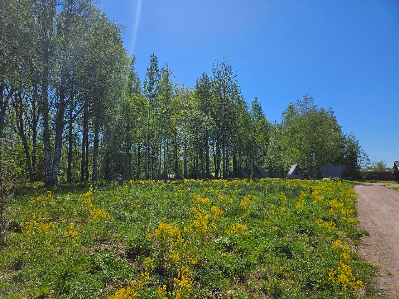 Фото Грин ярд