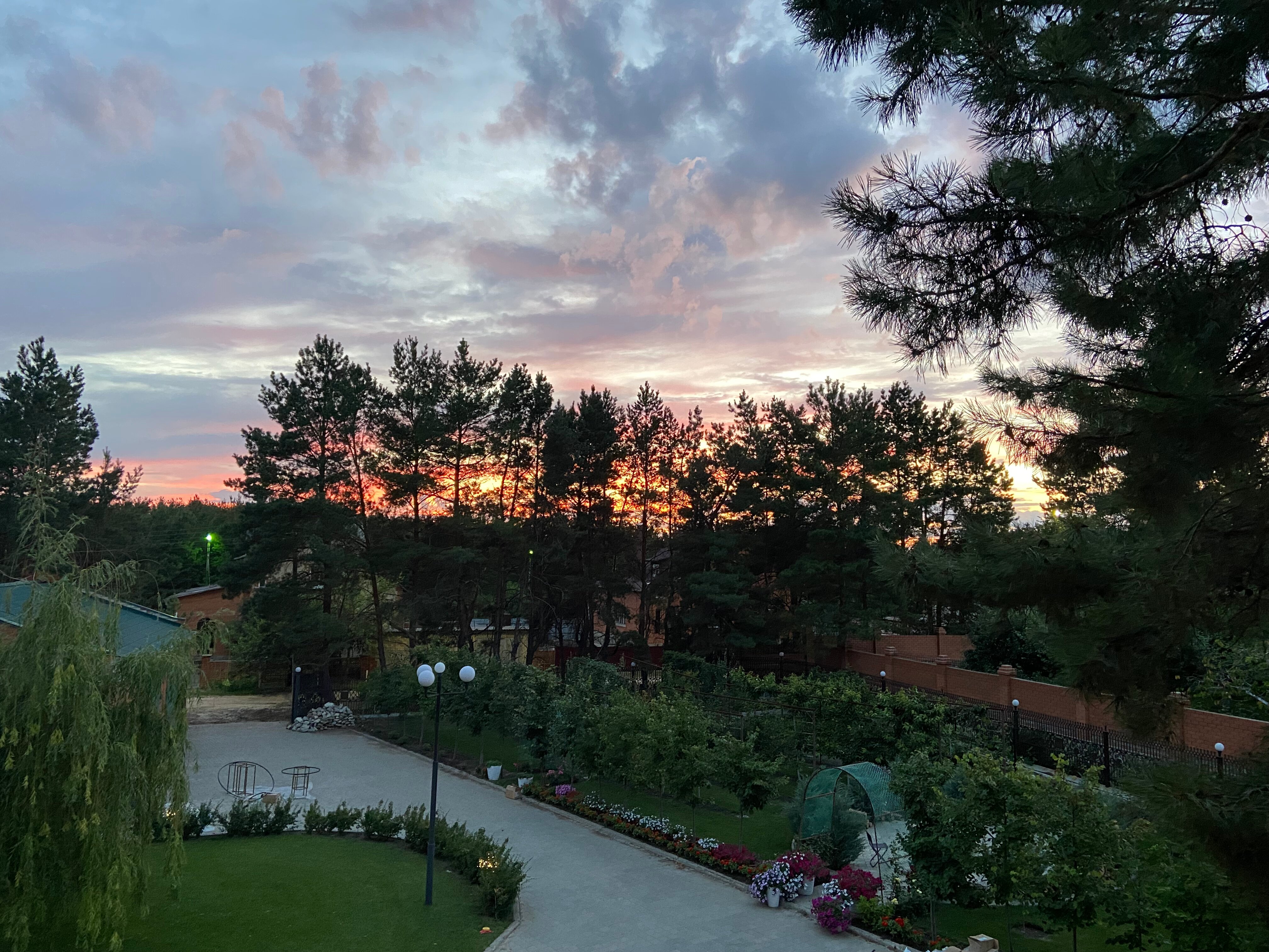 Фото Изумрудный лес