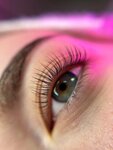 soo brows (Buksirnaya ulitsa, 10), eyebrow and eyelash salon