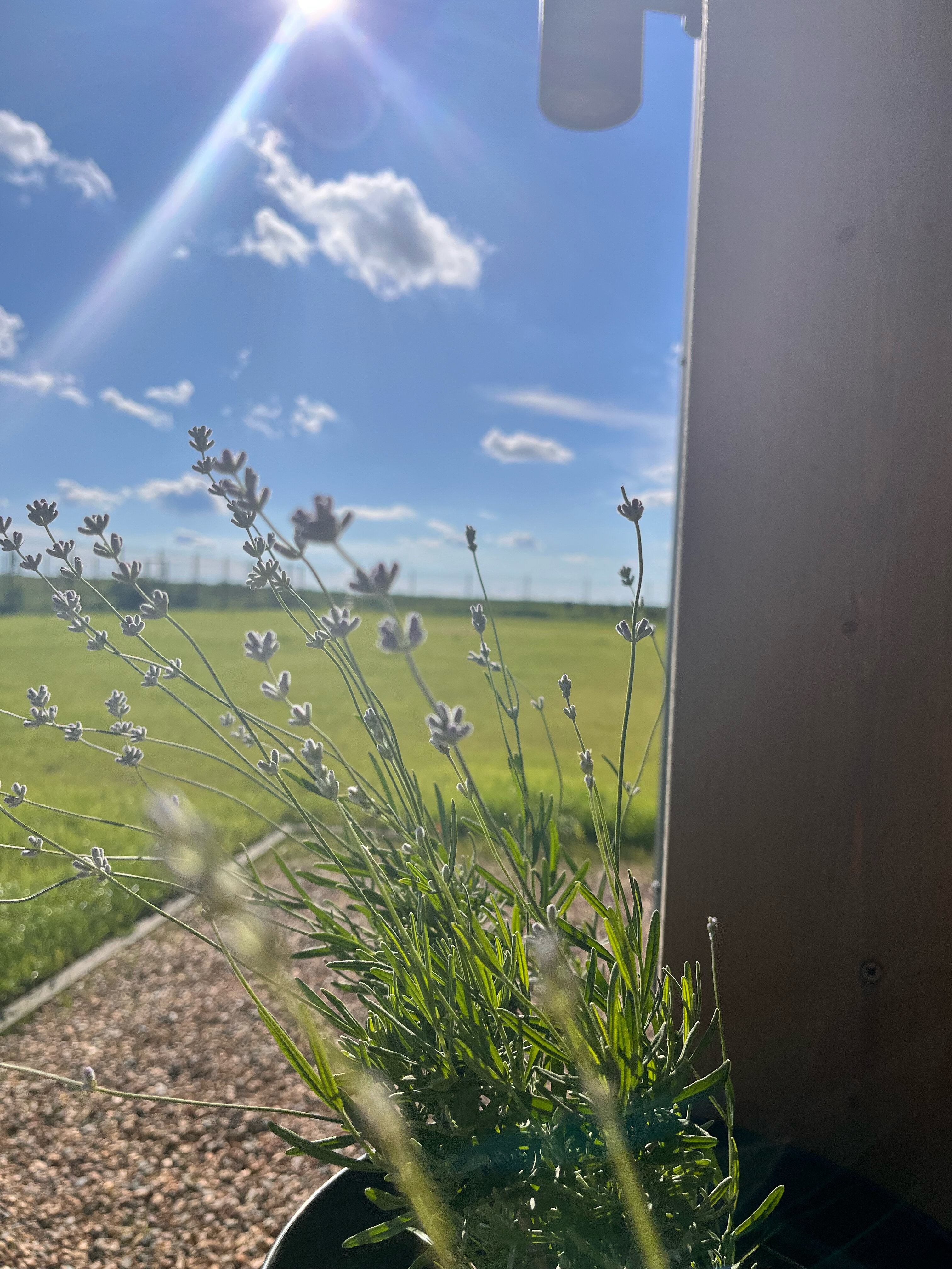 Фото Дубль Дача