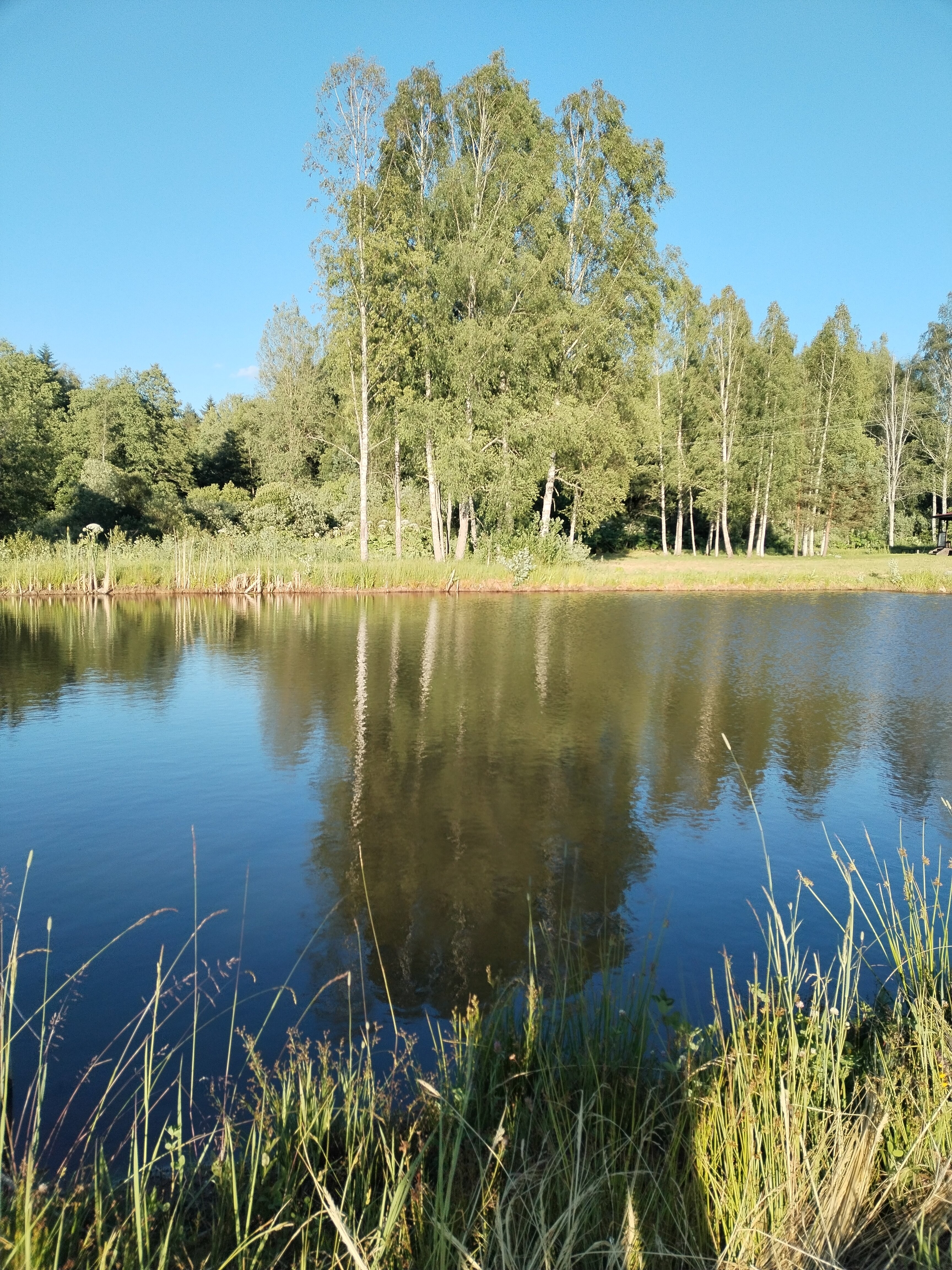 Фото Поместье Загосье