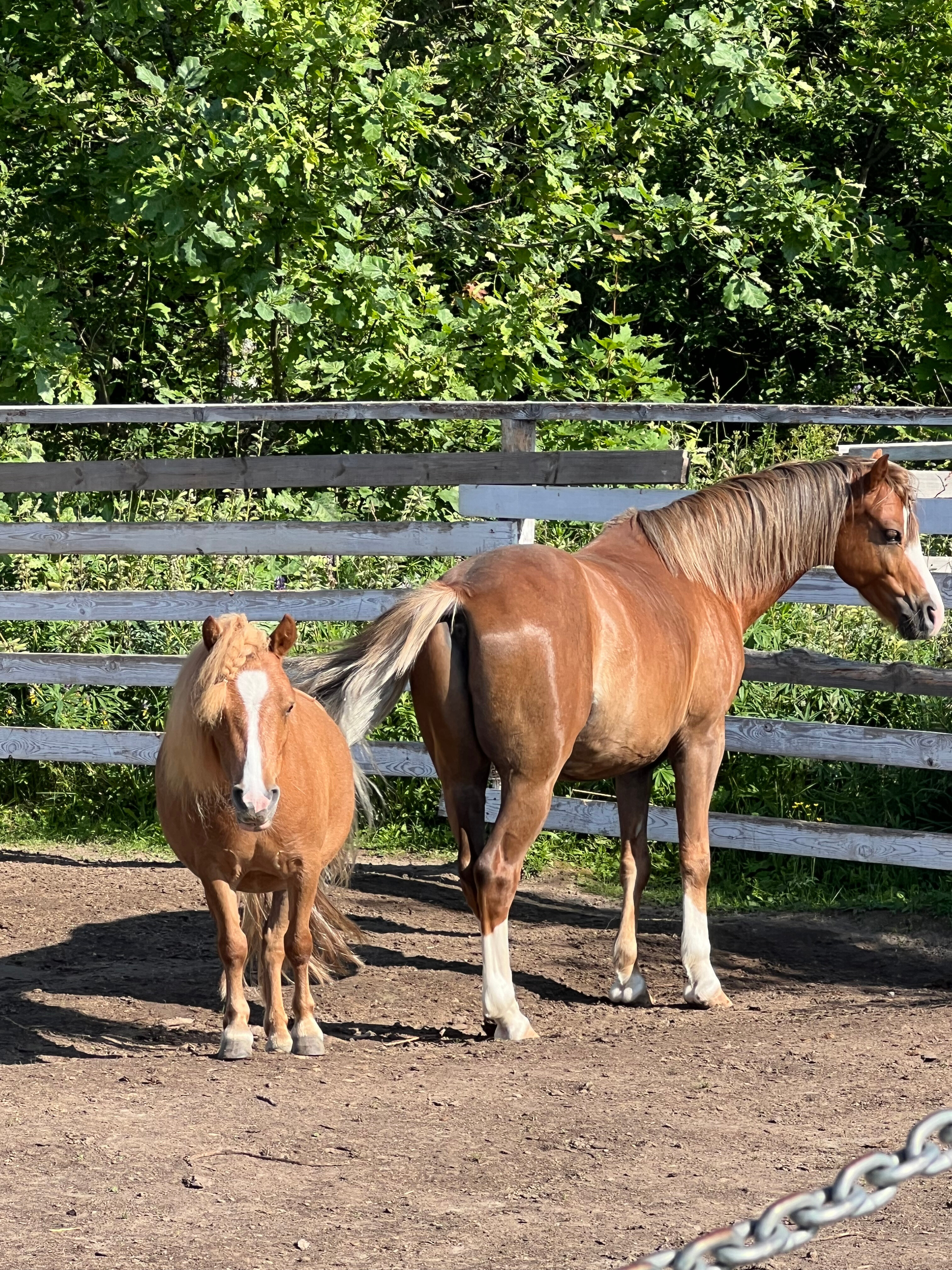Фото Лаки Лейк