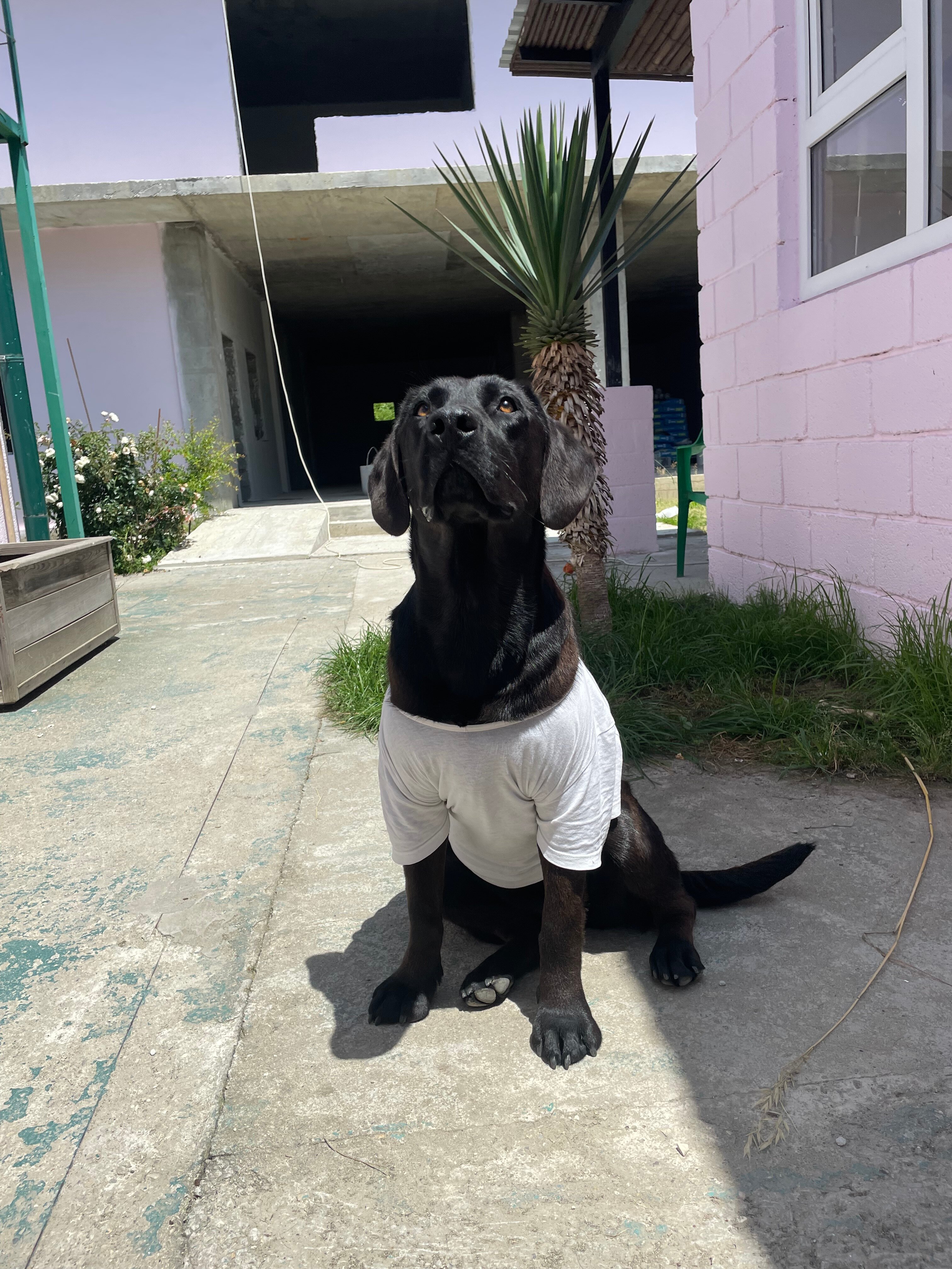 Фото Релакс