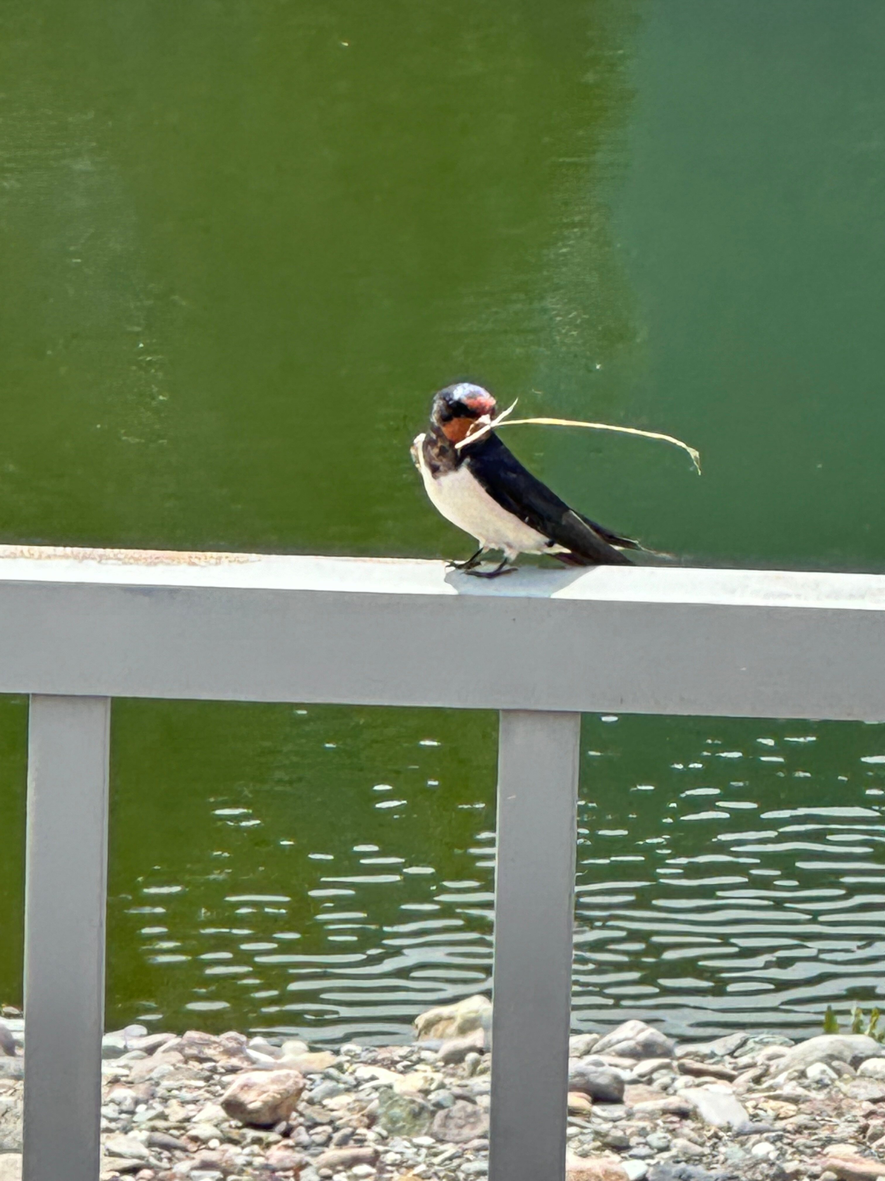 Фото Ойер Парк Отель