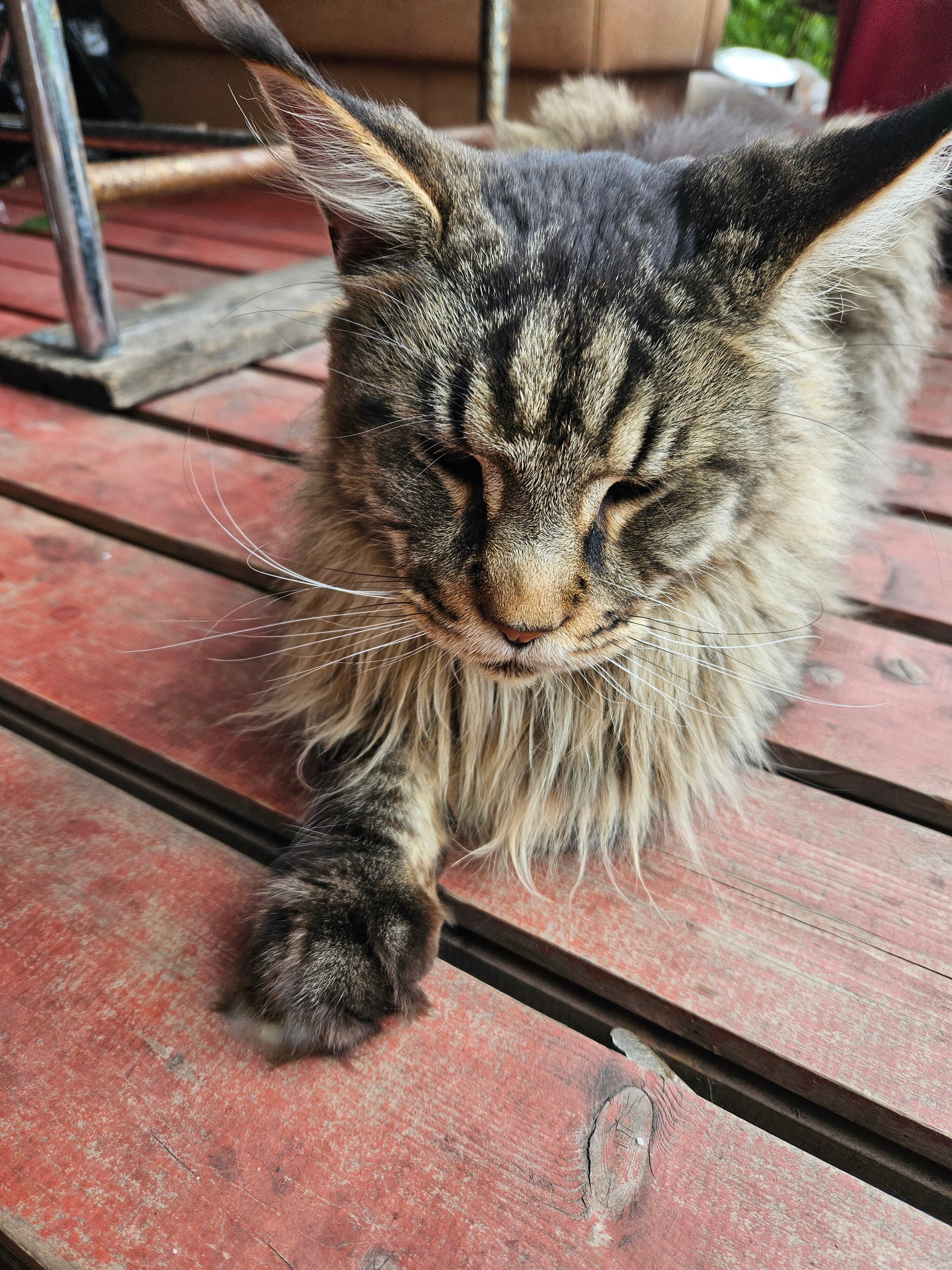 Фото Эльбирс House