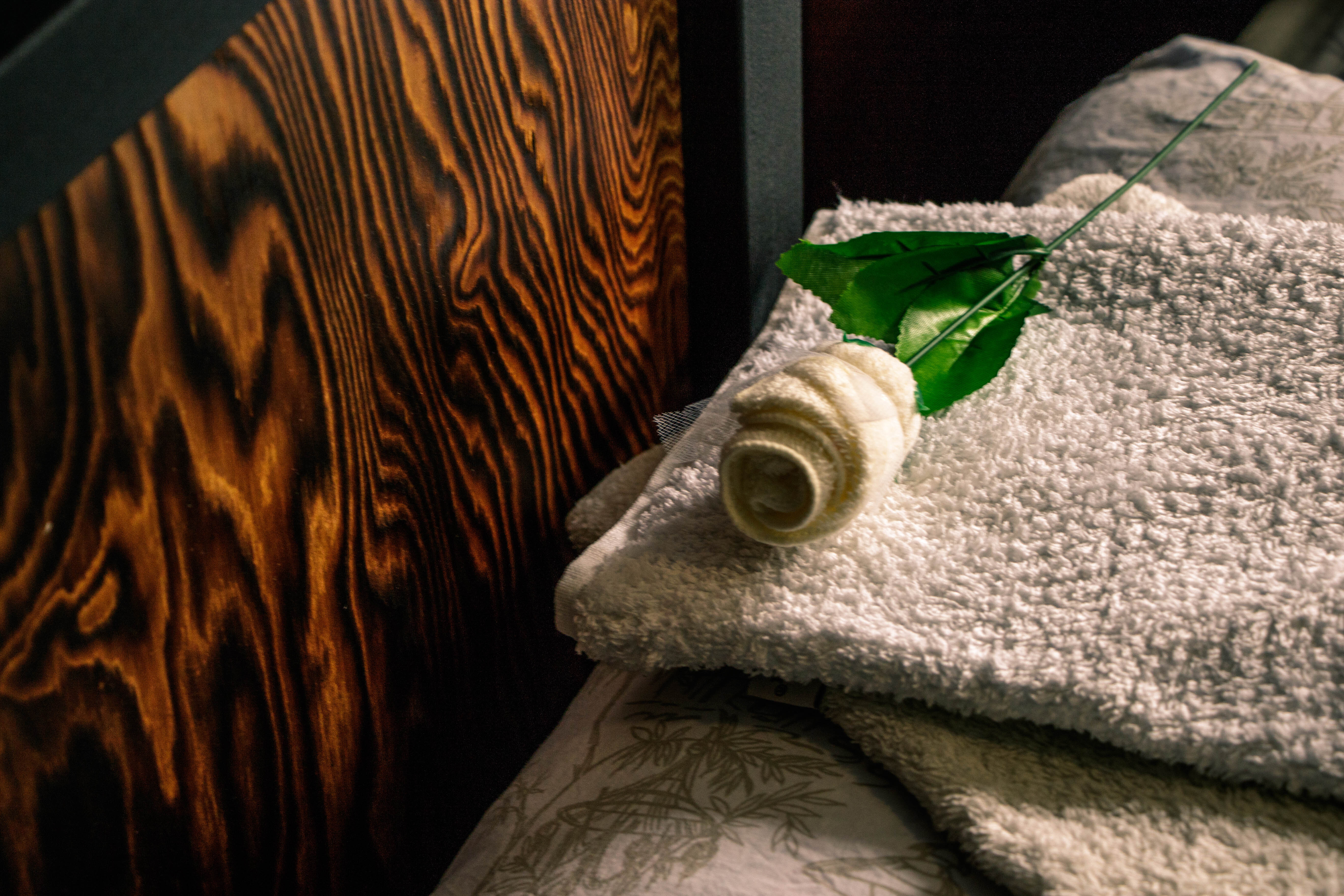 Фото Бодрый Медведь