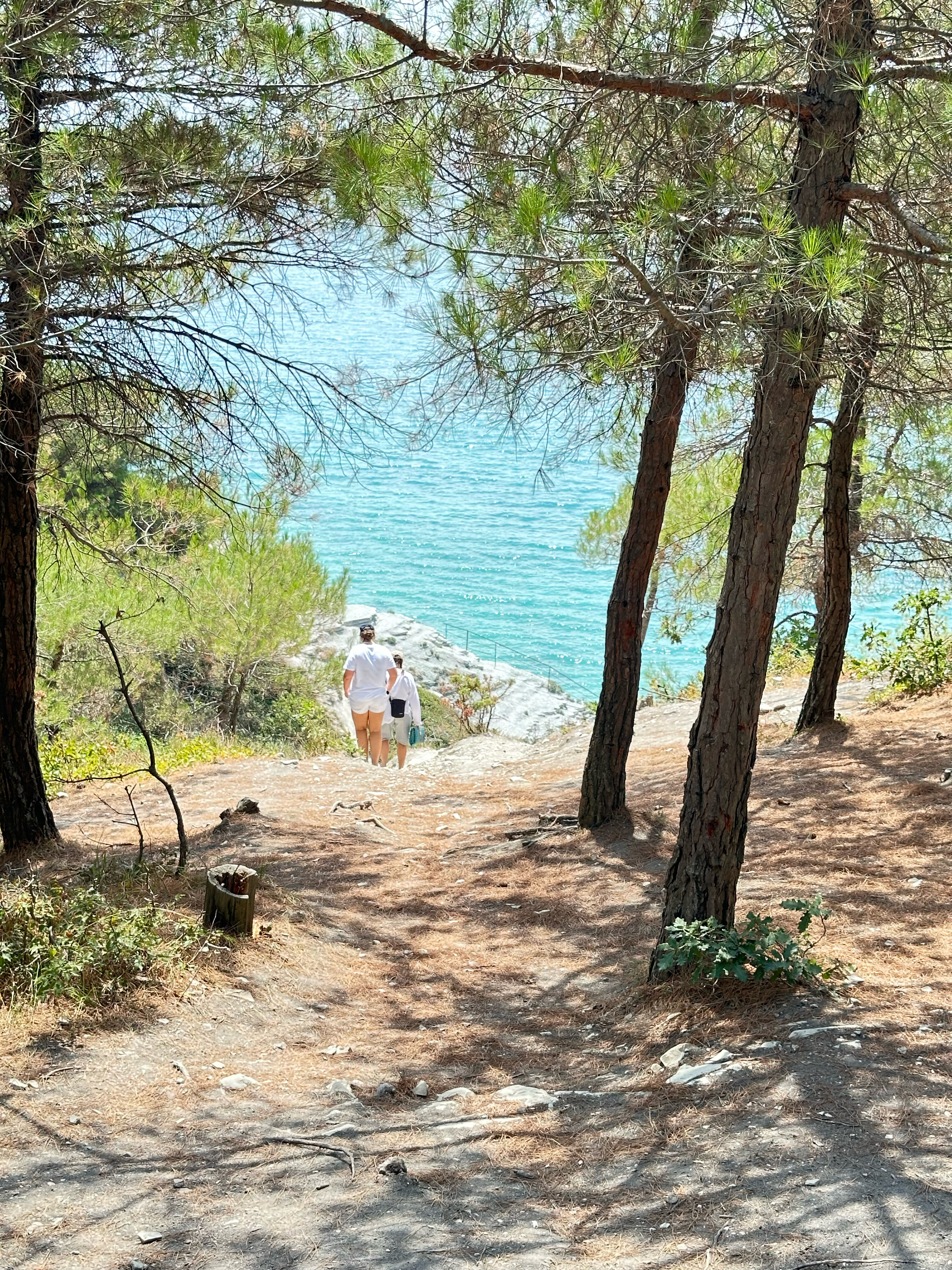 Фото Сосновка