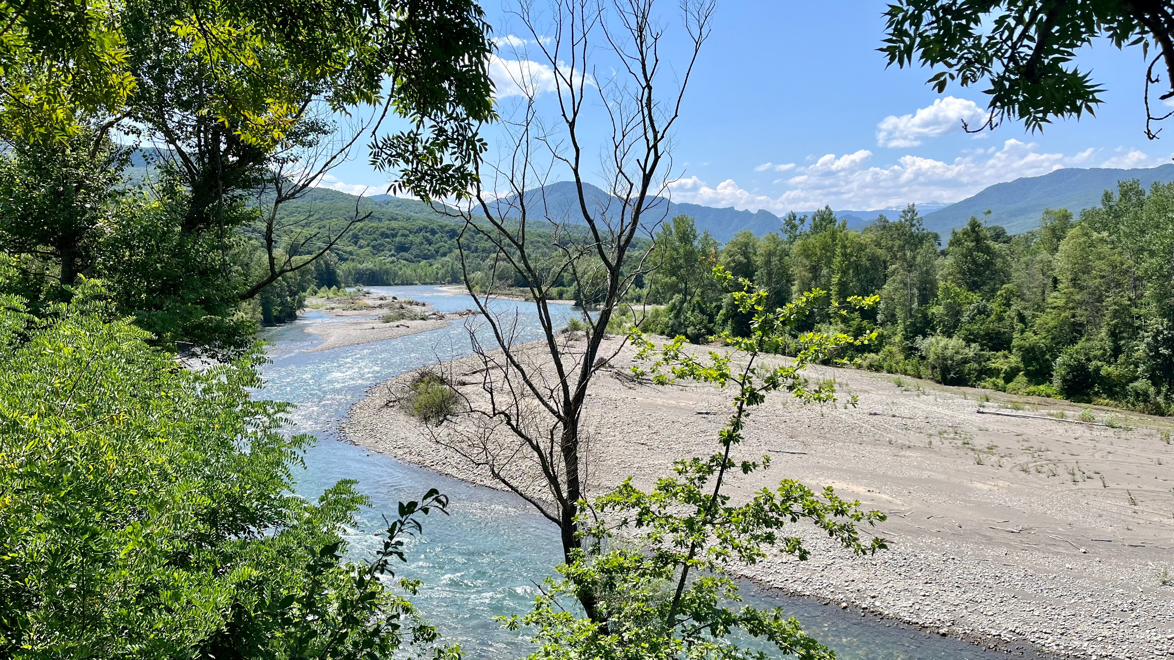 Фото Feshin Forest