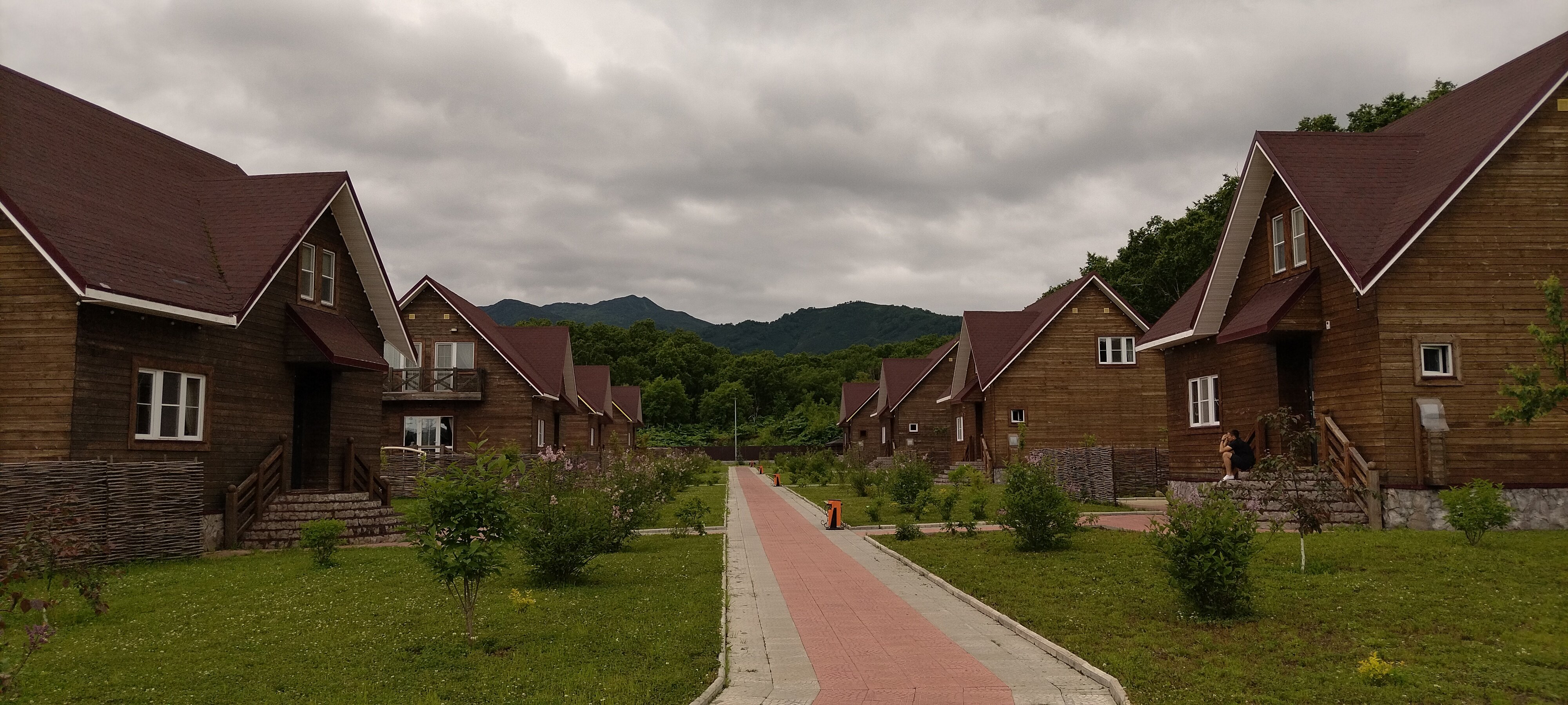 Фото Лесная поляна