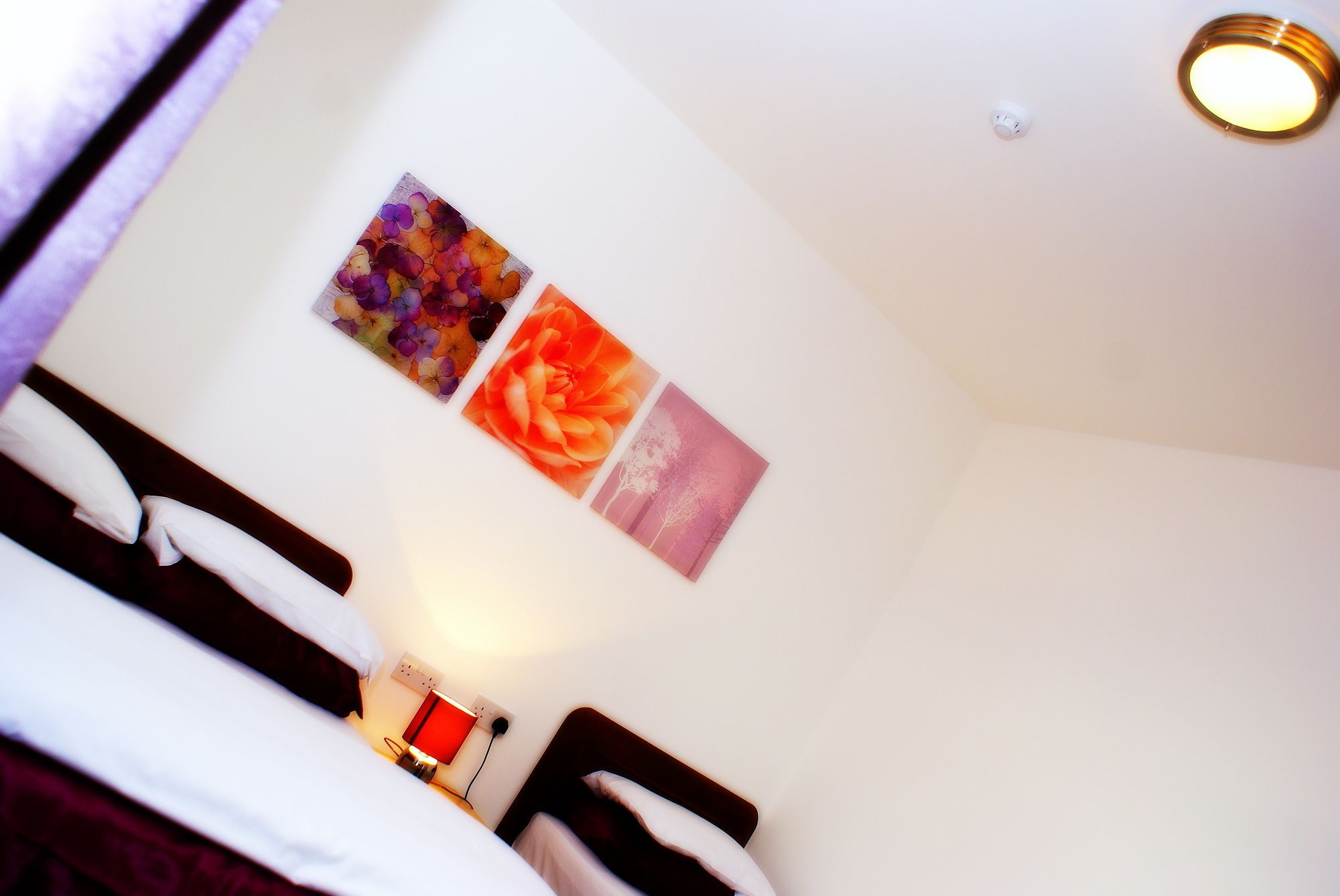 Фото Hindes Hotel