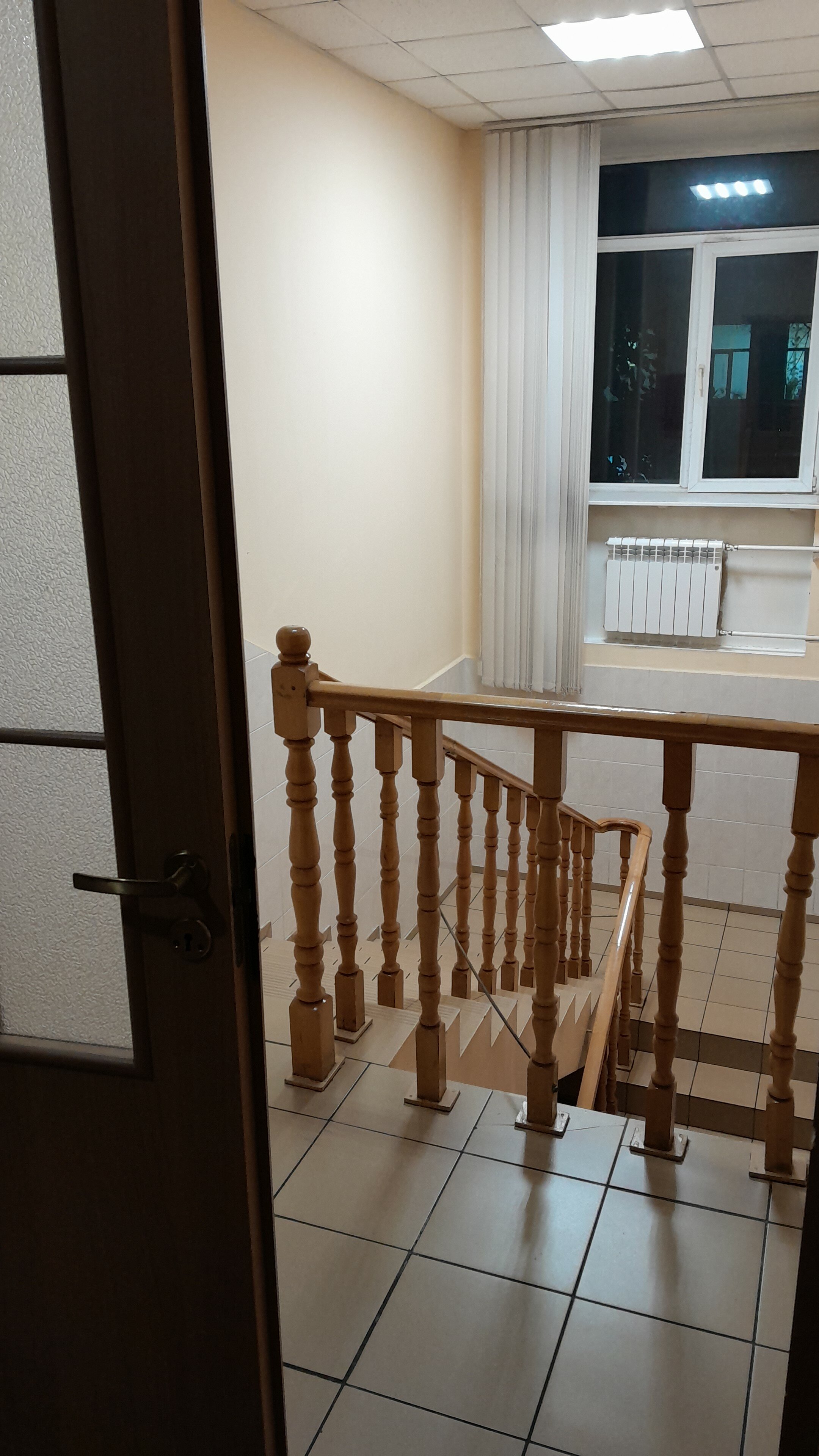 Фото Вежливый лось