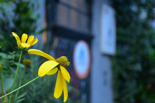 Хостел Peking International Youth Hostel в Пекине