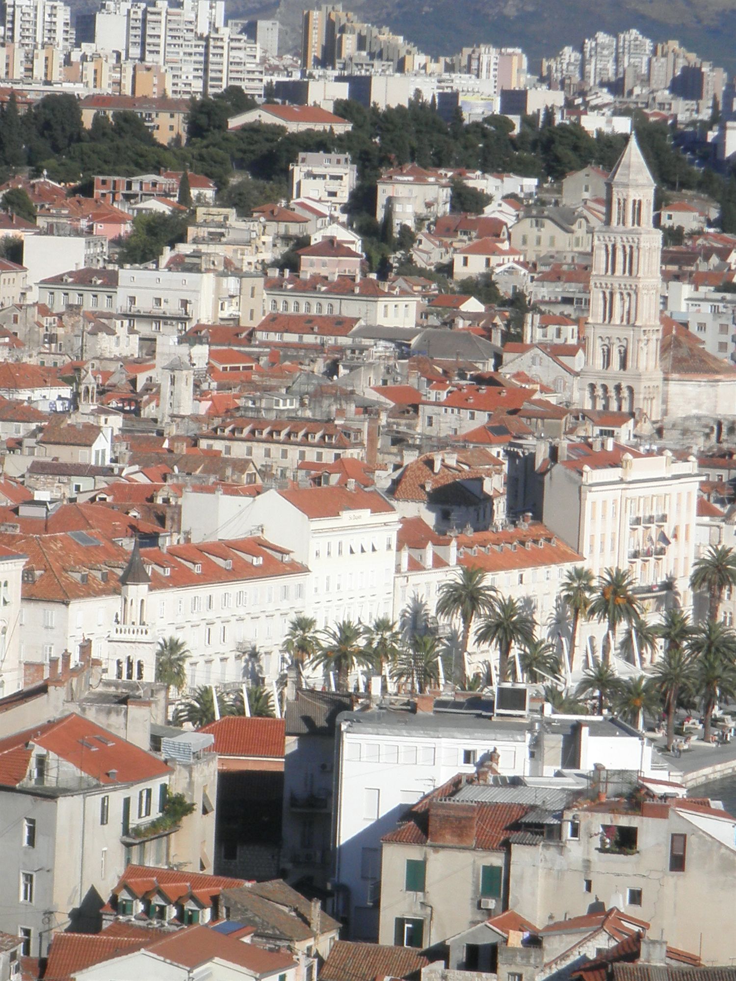 Фото Villa Matejuska Heritage