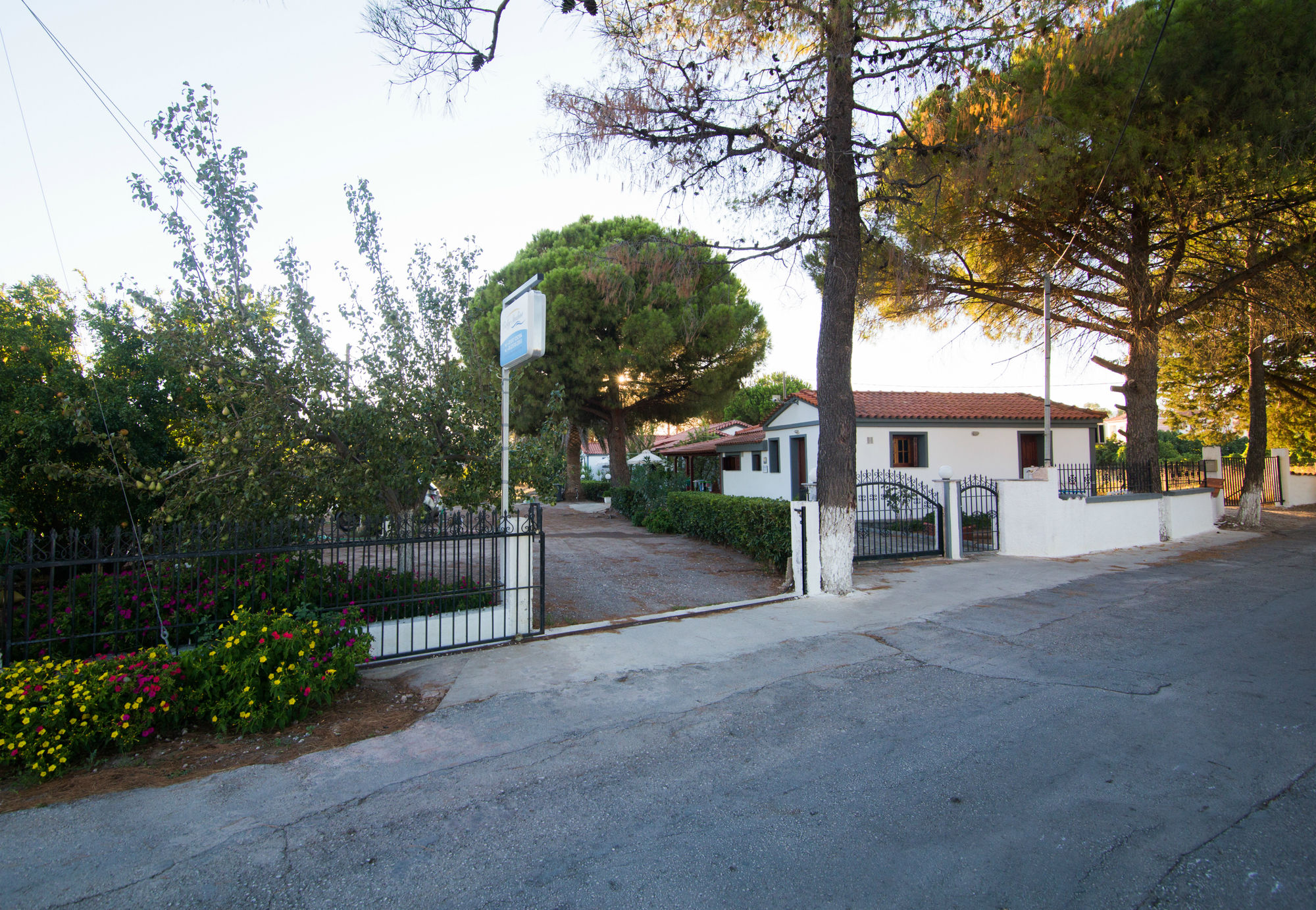 Фото Vicky Studios