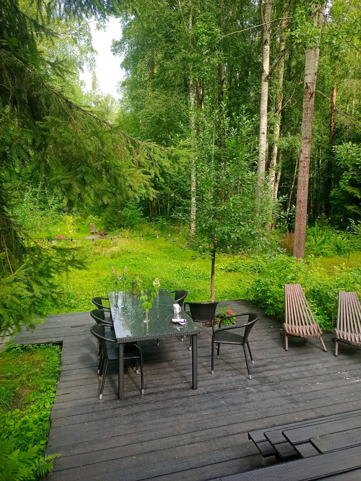 Фото Солнечные дачи