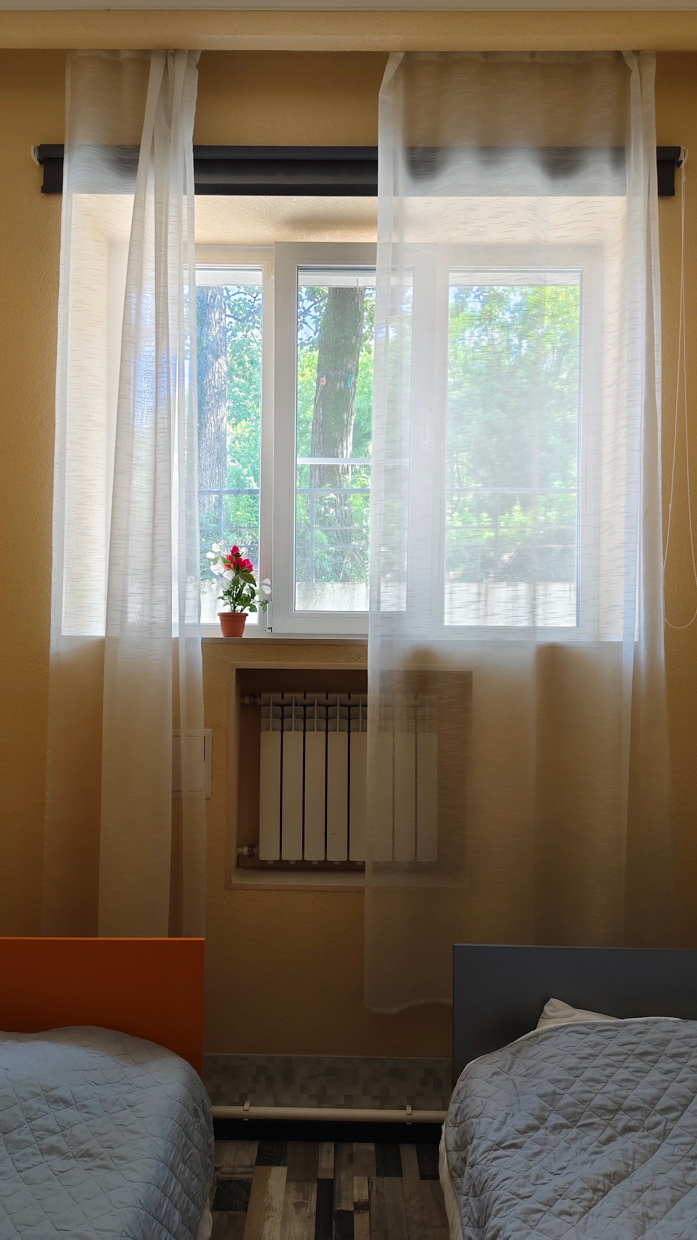 Фото Камчатский