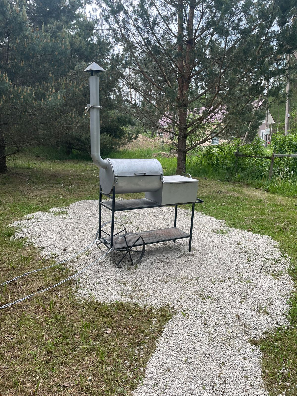 Фото Хитрый Лис