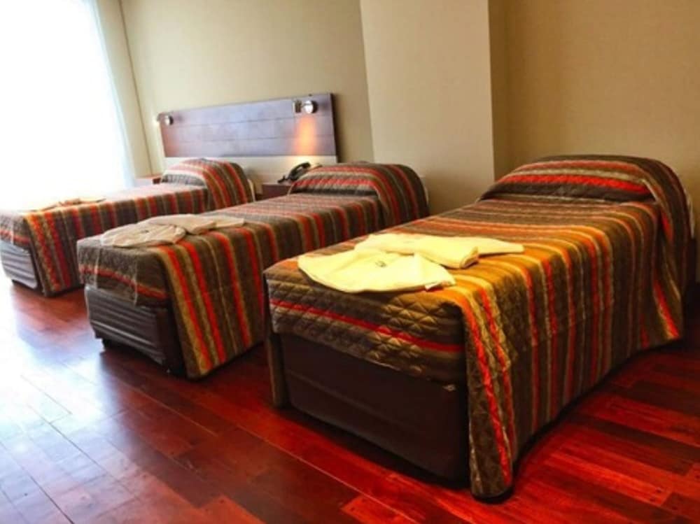 Фото Plaza Hotel Paseo