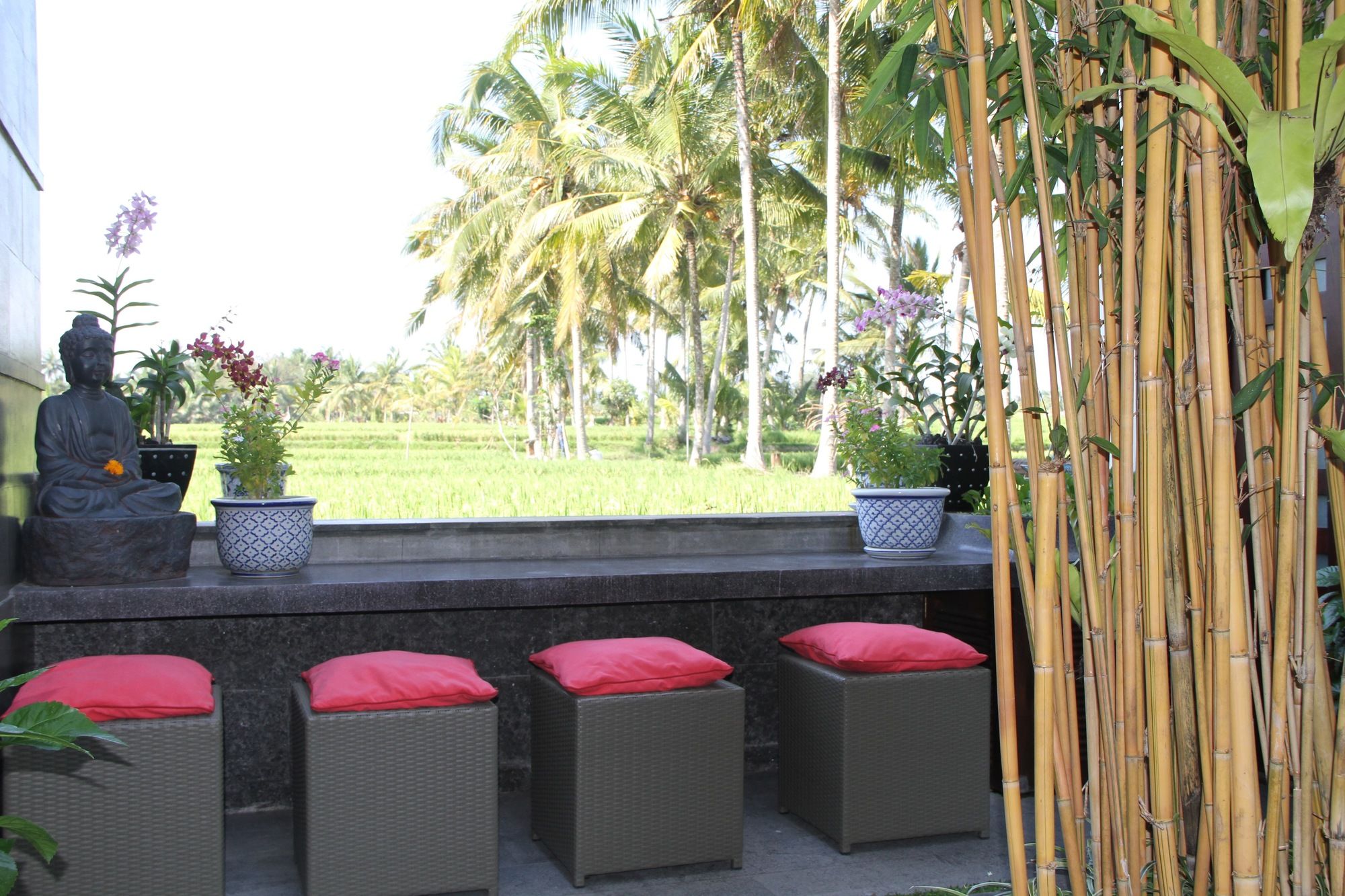 Фото Luxe Villas Bali