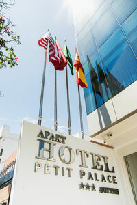 Гостиница Apart Hotel Petit Palace Suites