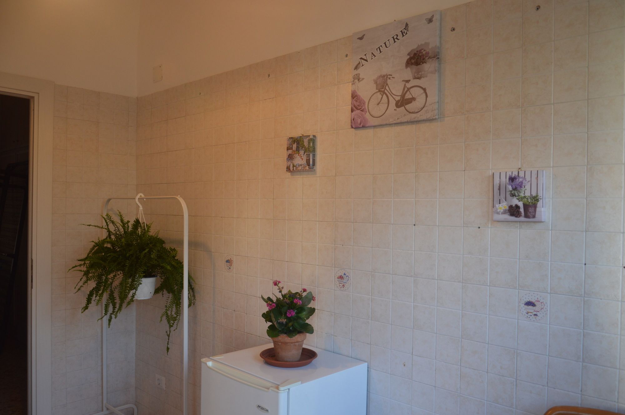 Фото I Colori Di Salvator Rosa