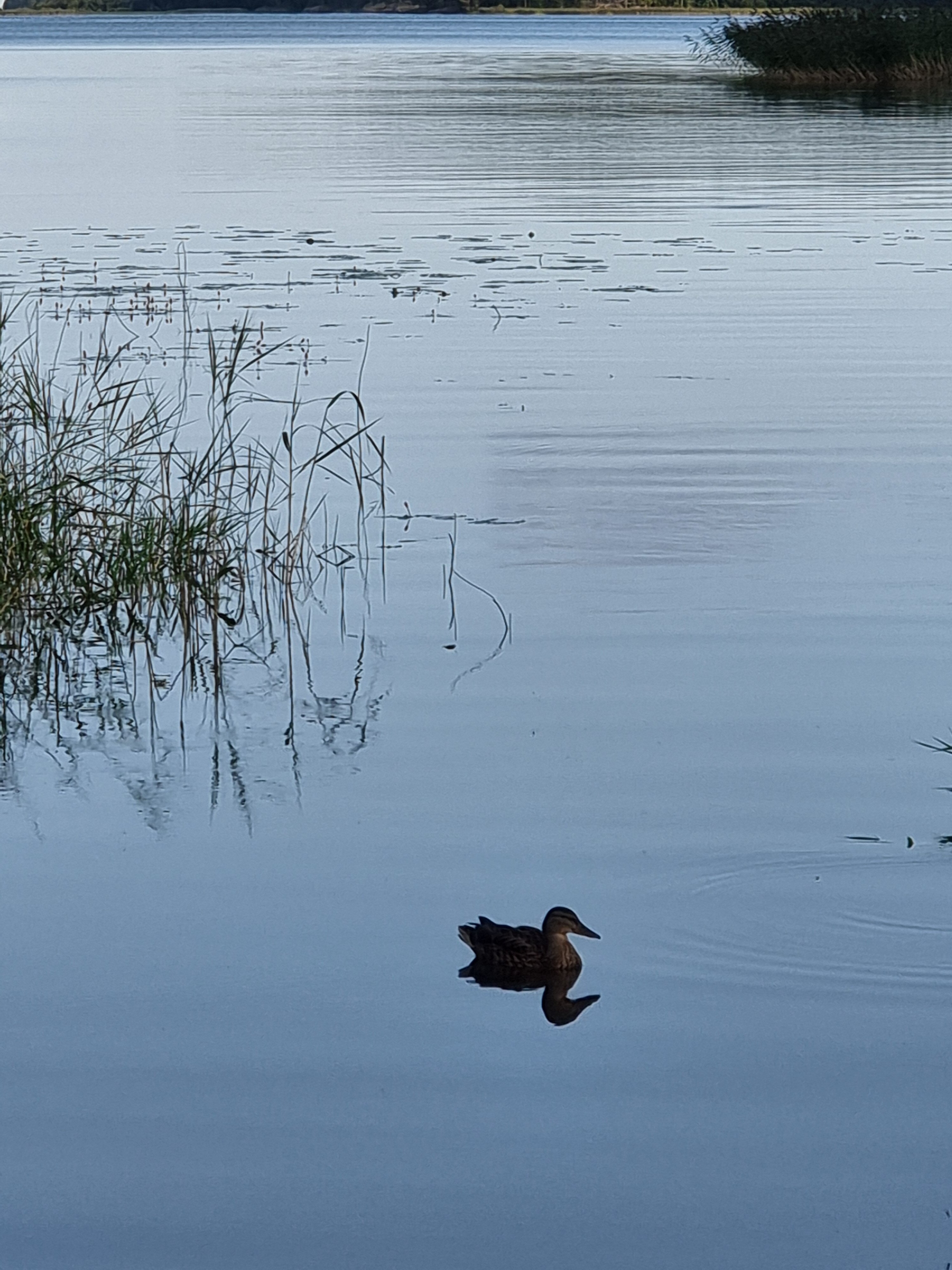 Фото Залив Души