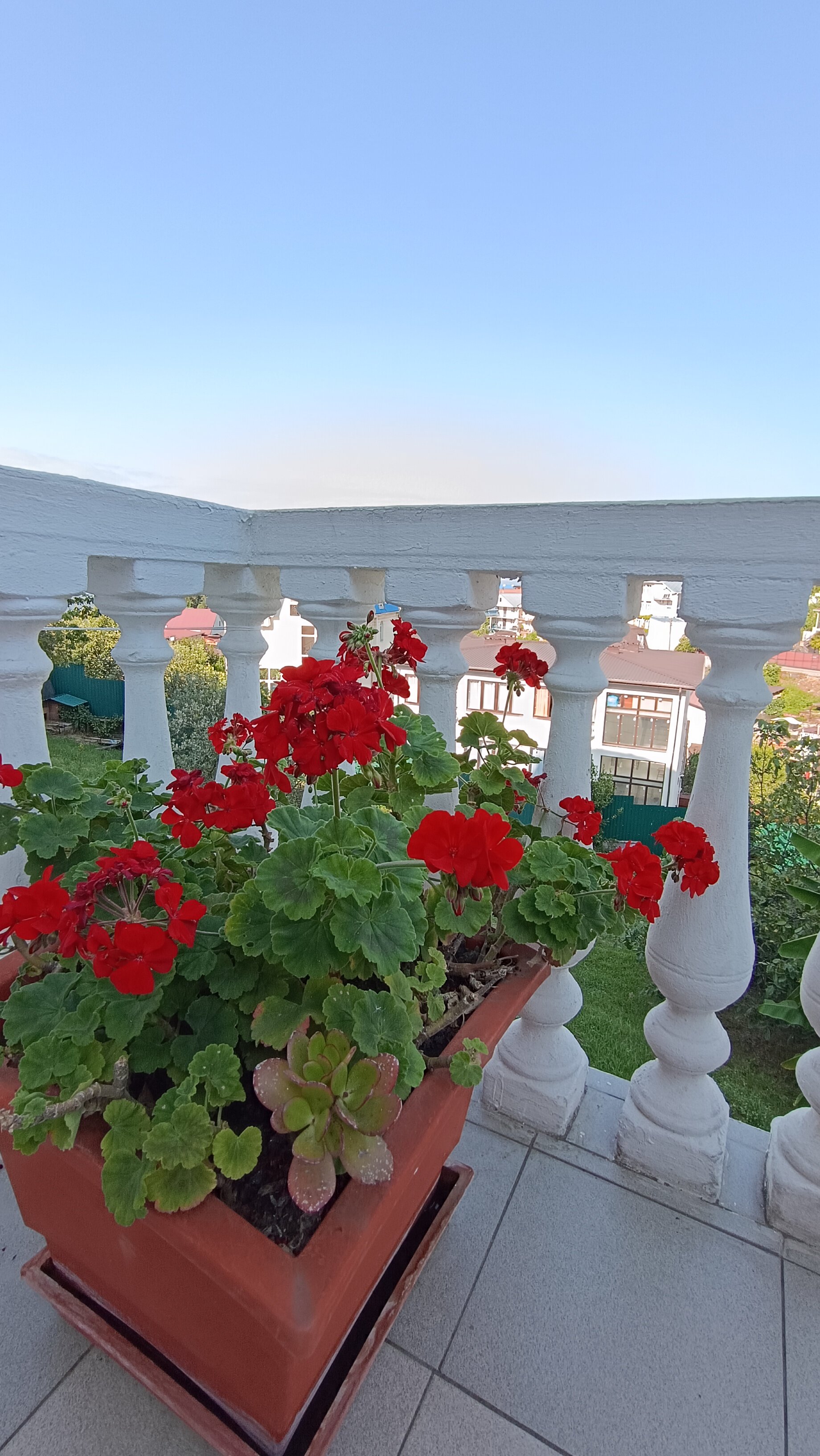 Фото Вологжанка