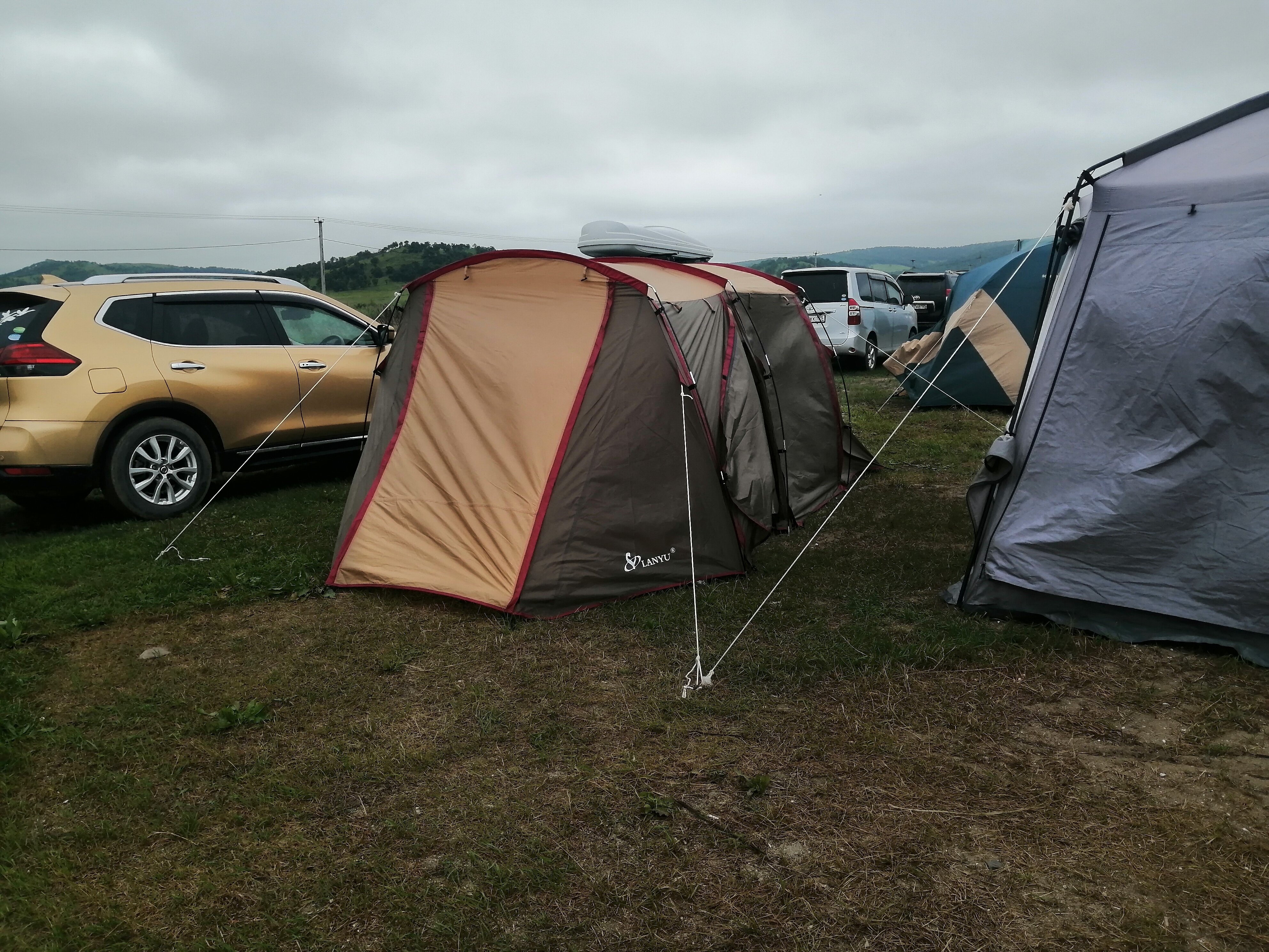 Фото Зелёная полянка