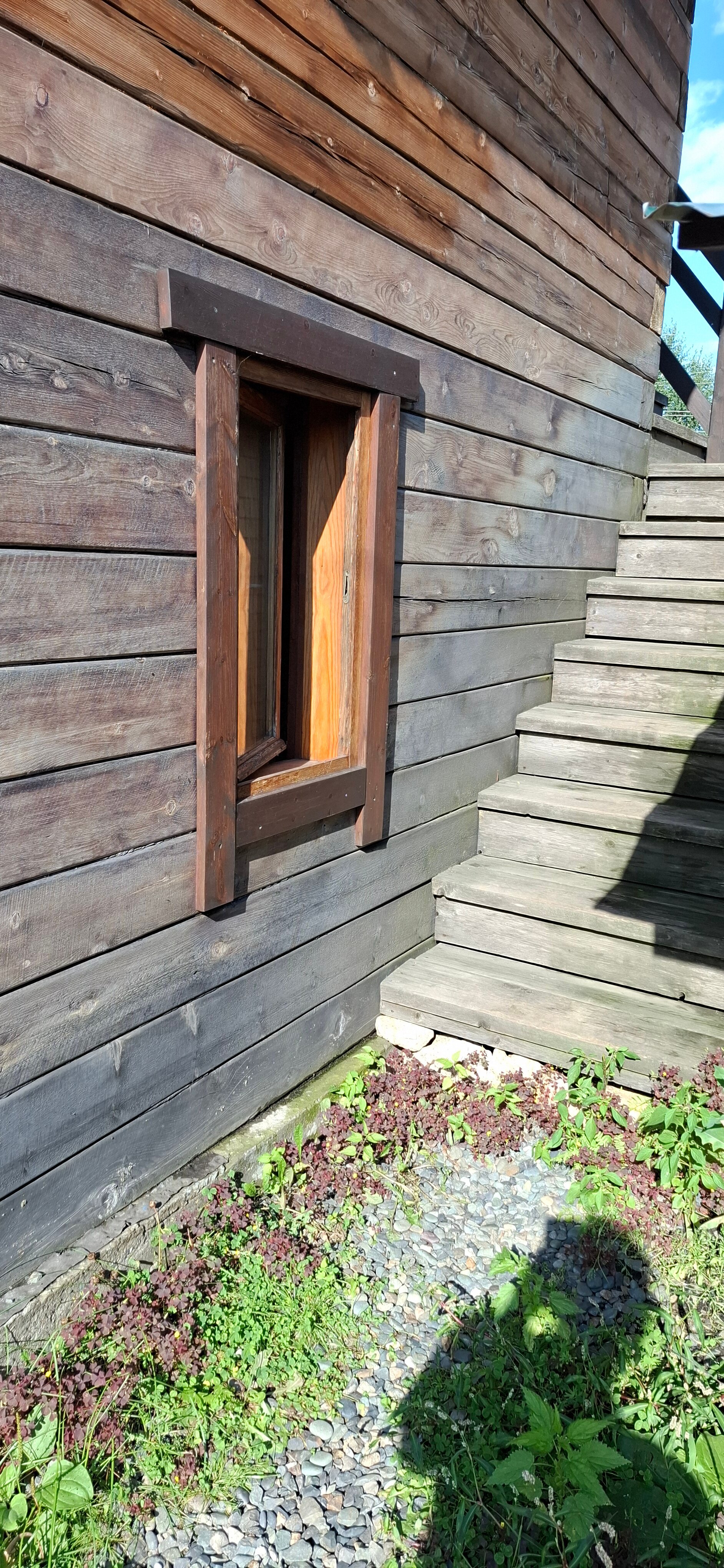 Фото Кедровый Дом Кочиевских