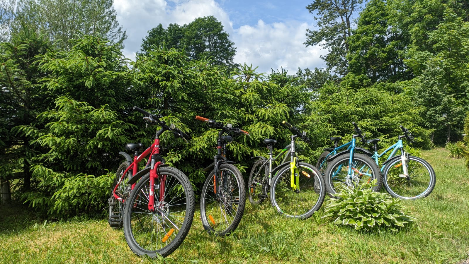 Фото Агроэкологический туристический комплекс Гостевой Домик