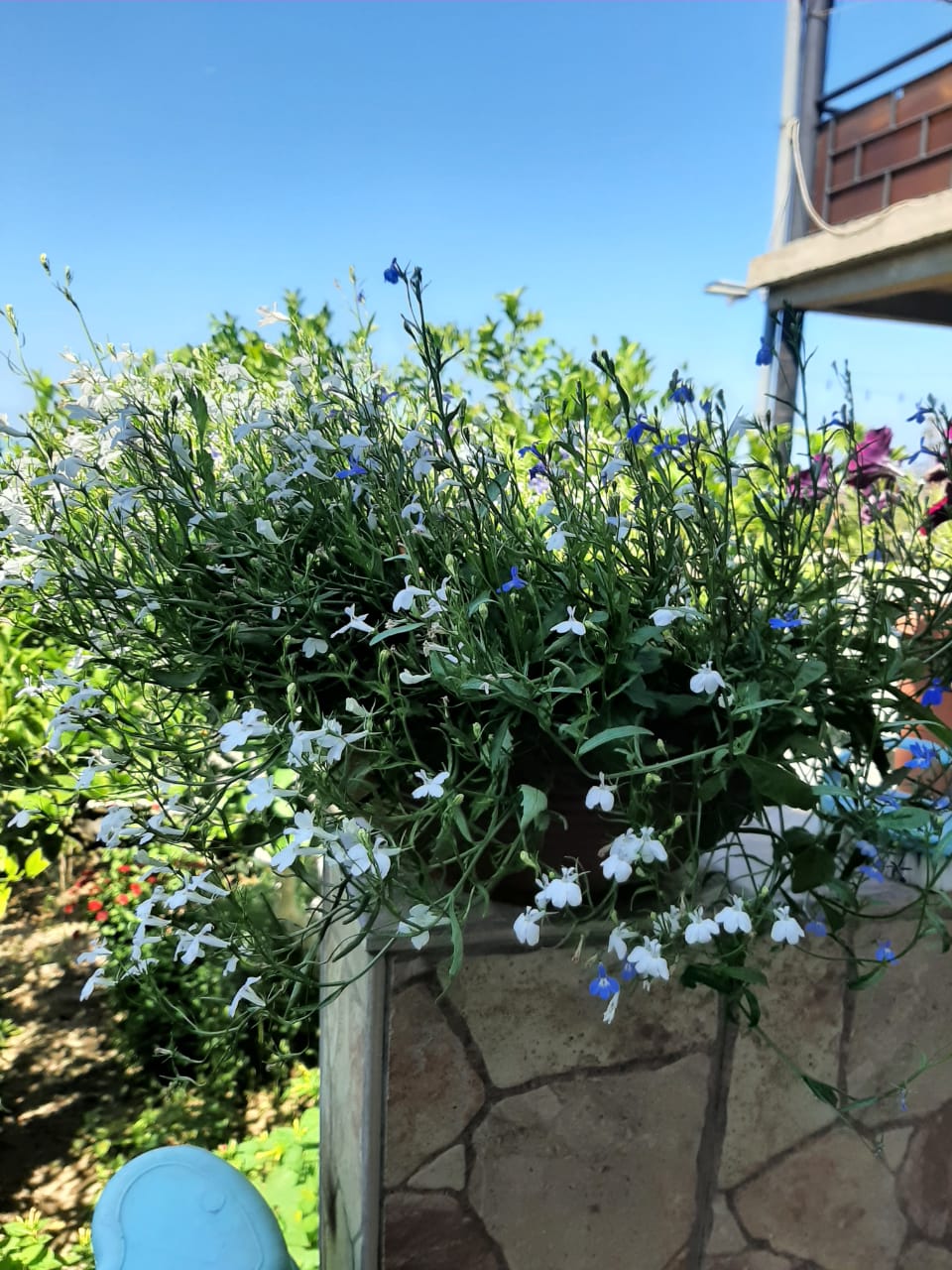 Фото Анна-Мария