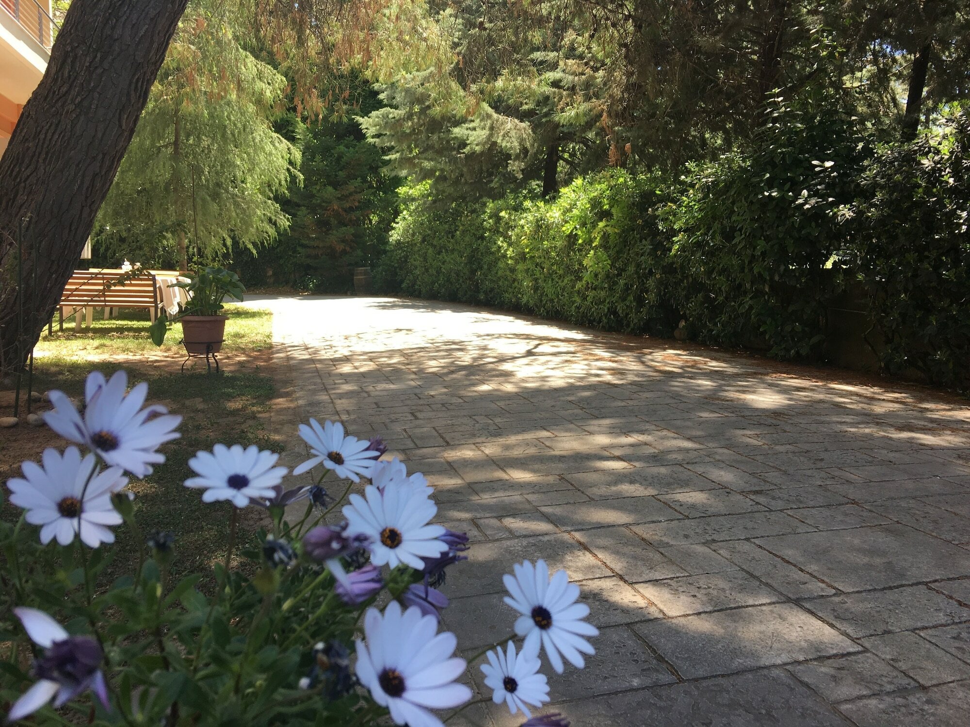 Фото Anastazia Luxury Suites & Rooms