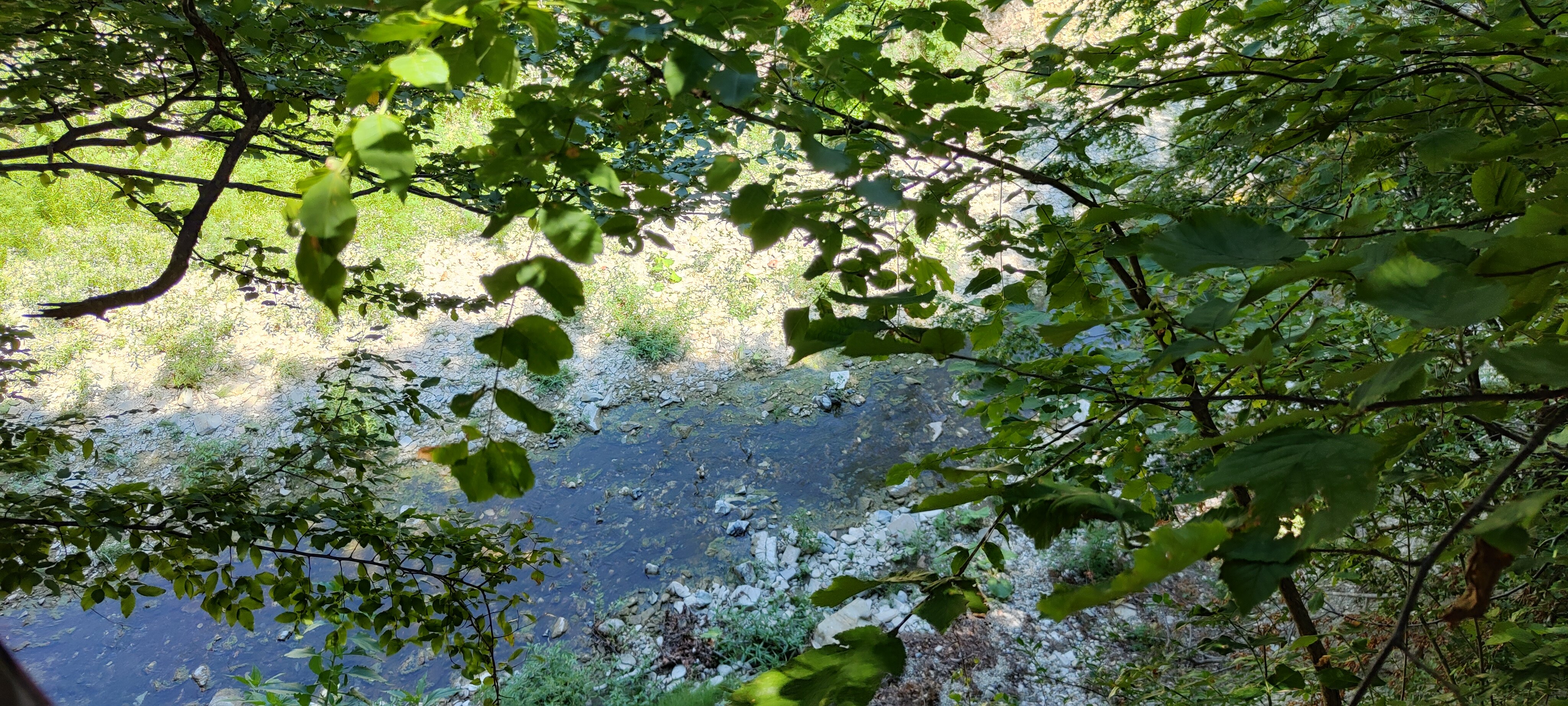 Фото Studio Deluxe