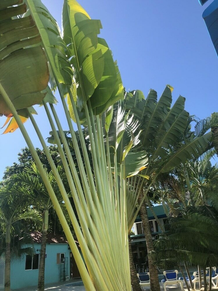 Фото New Garden Hotel