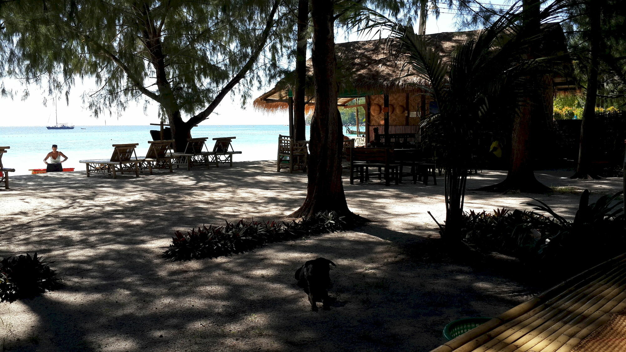 Фото Green View Beach Resort