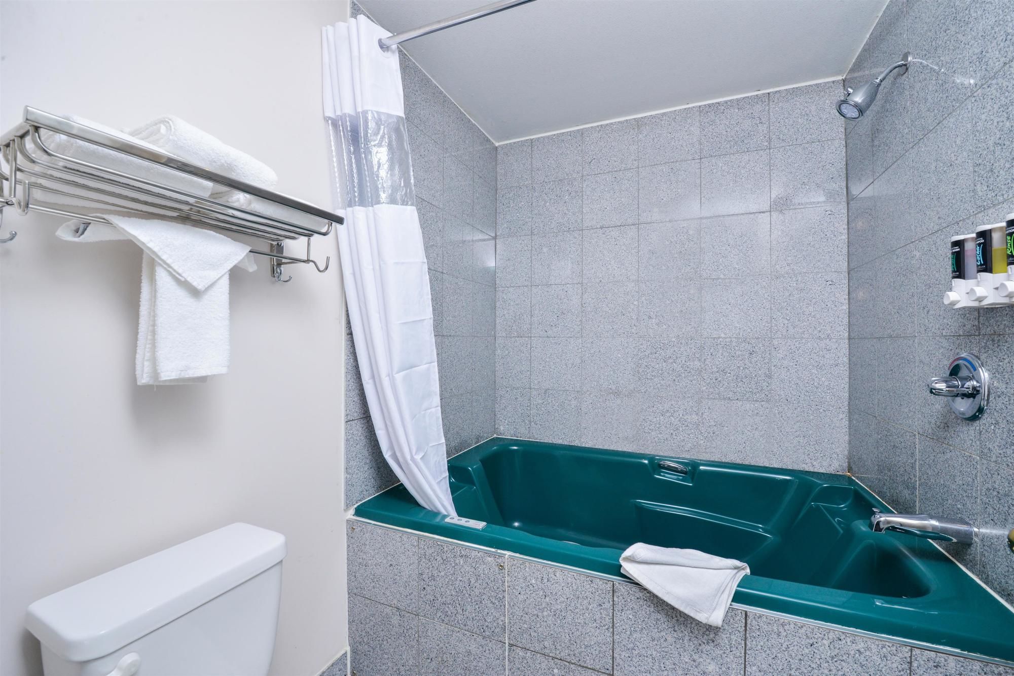 Фото Canadas Best Value Inn Valemount