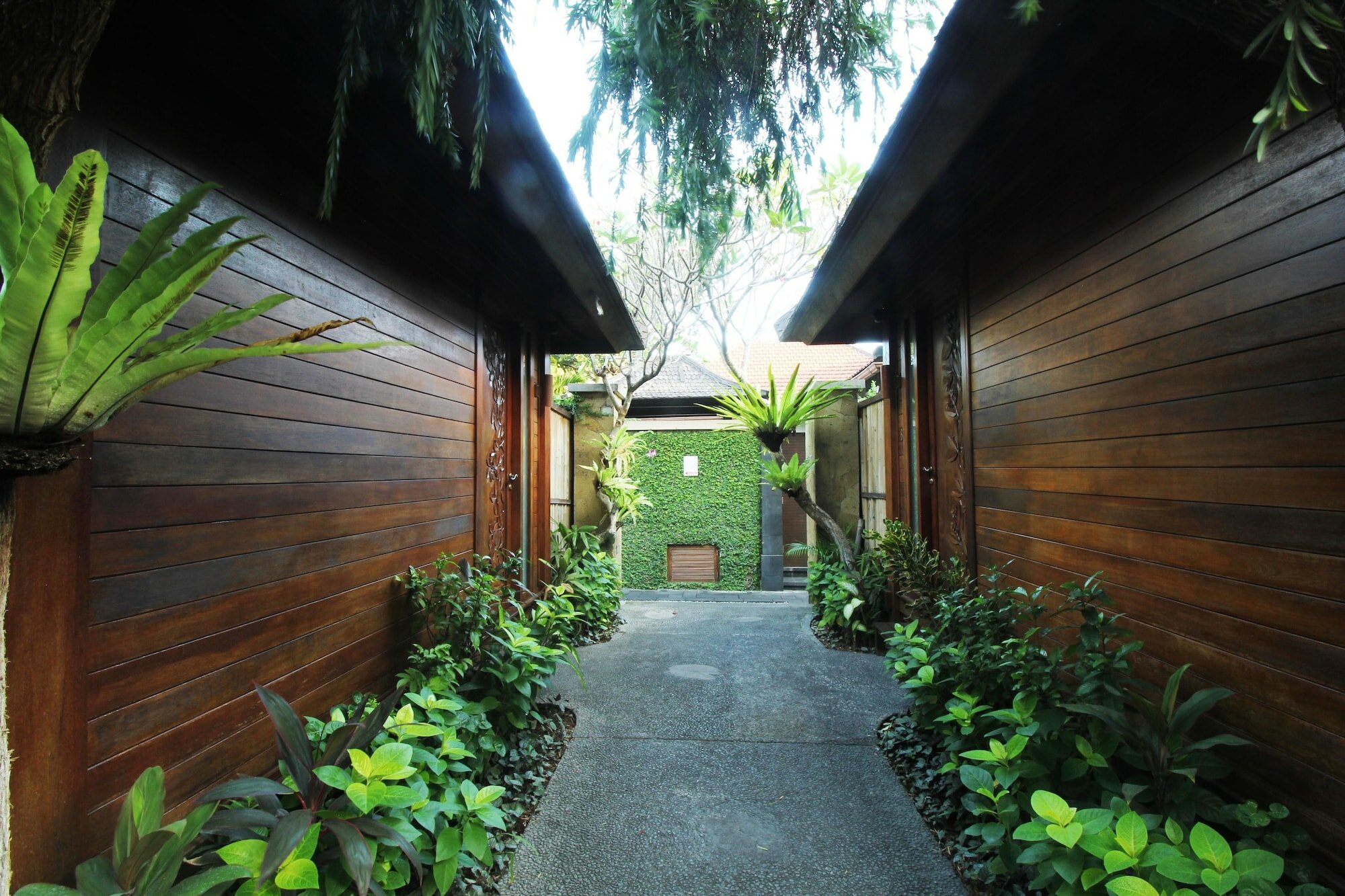 Фото Disini Luxury Spa Villas