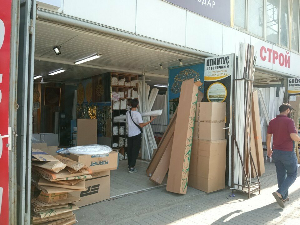 Wallpaper store Victoria Stenova, Osh, photo