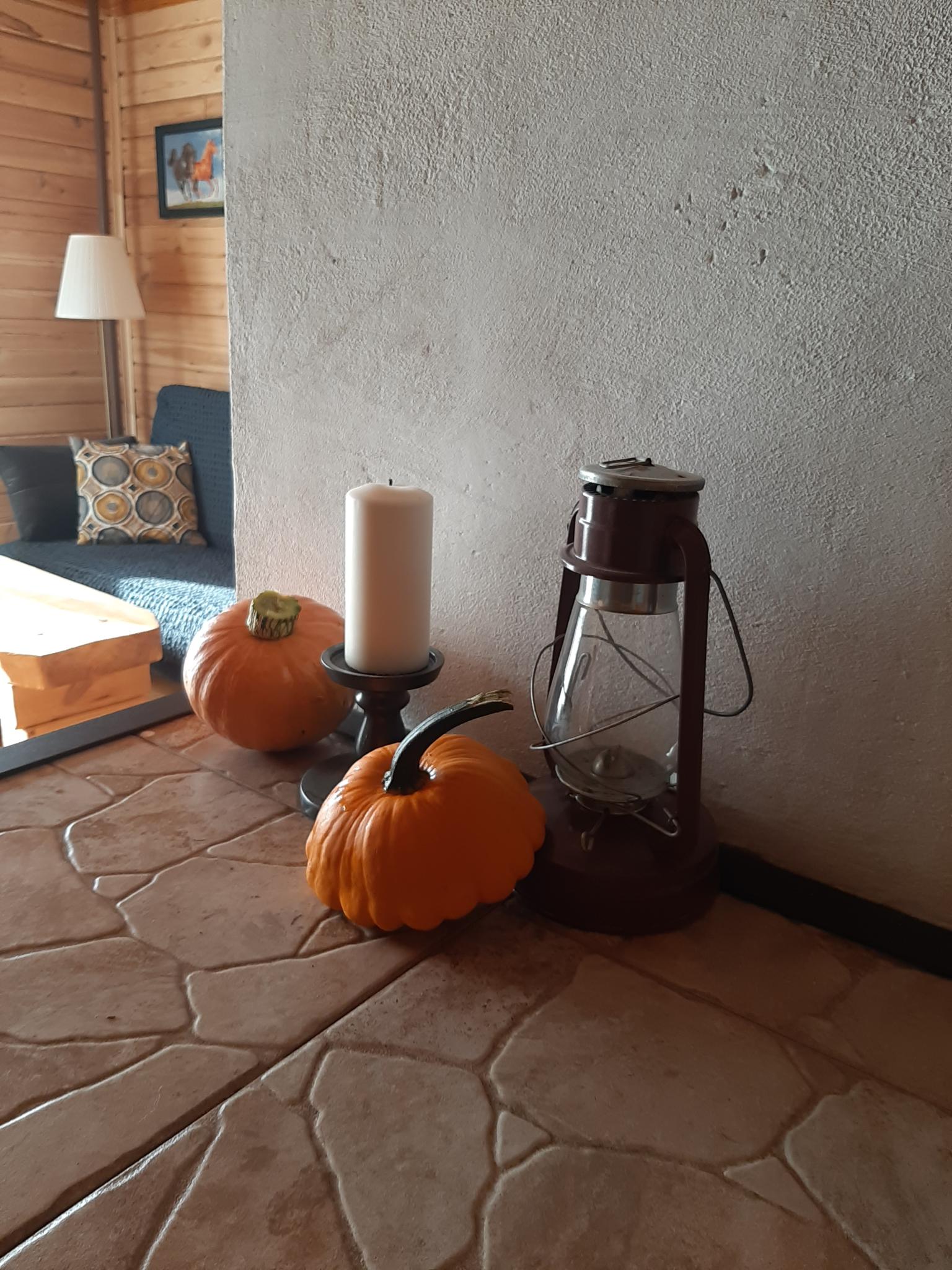 Фото Земляничная поляна