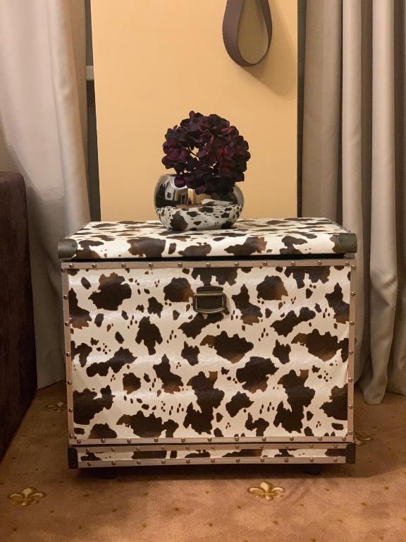 Фото Магнум