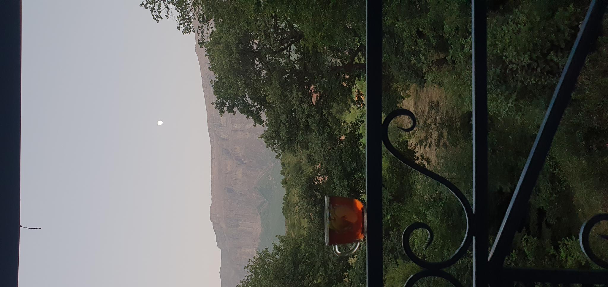 Фото Дубовая Роща