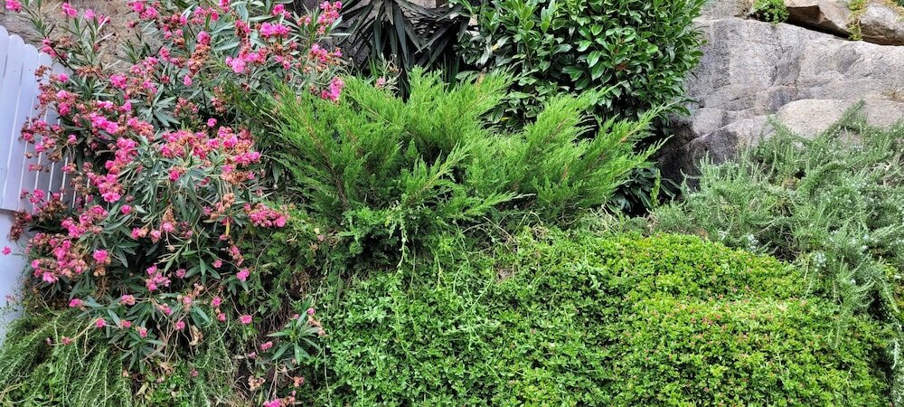 Фото Red House by the River