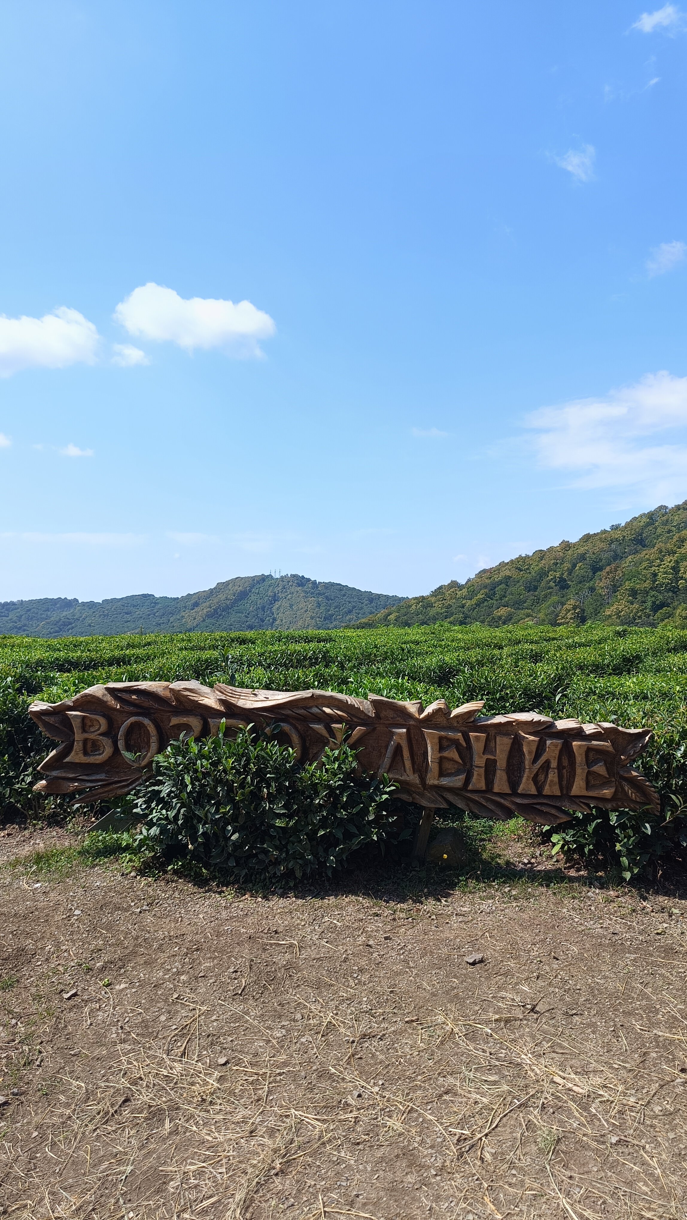 Фото Озеро Ольховое
