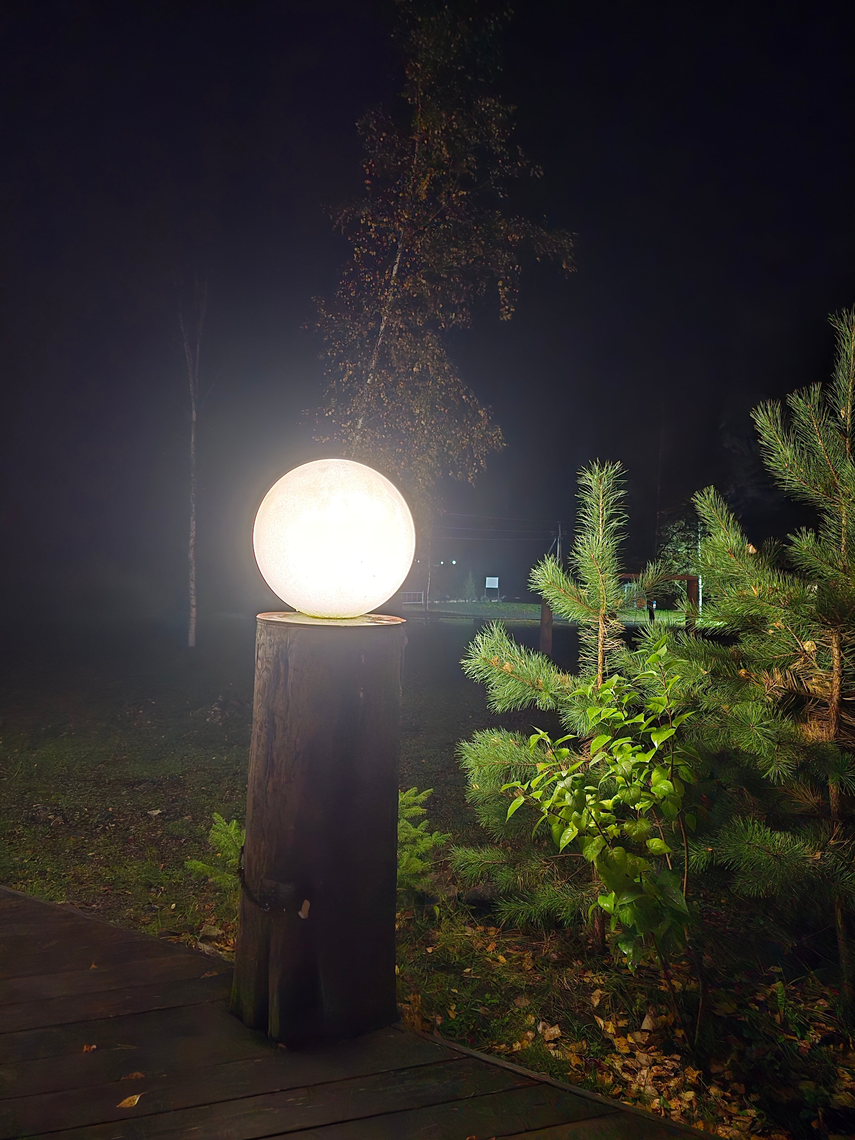 Фото Сказочка