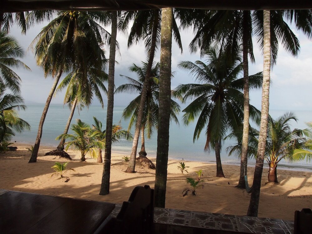 Фото Palm Point Village