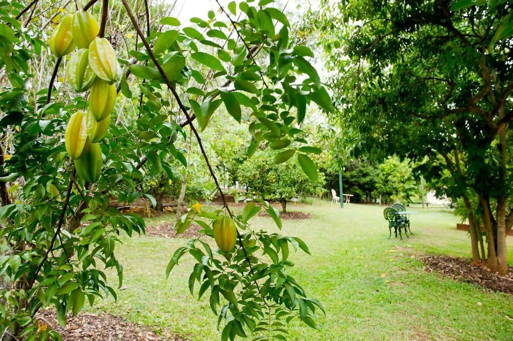Фото Glass House Mountains Ecolodge