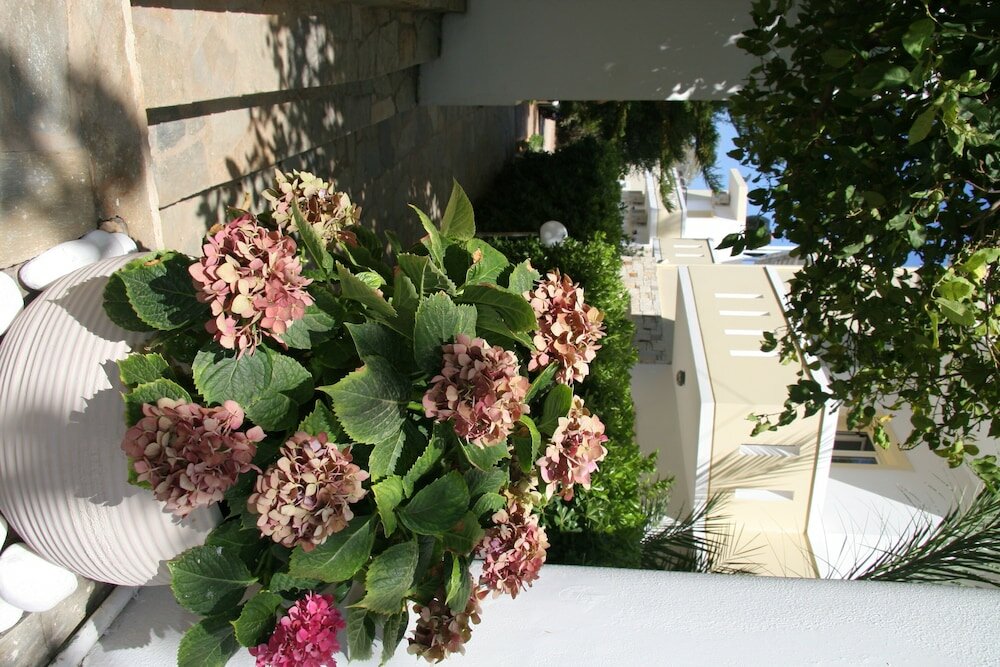 Фото Nikos Apartments